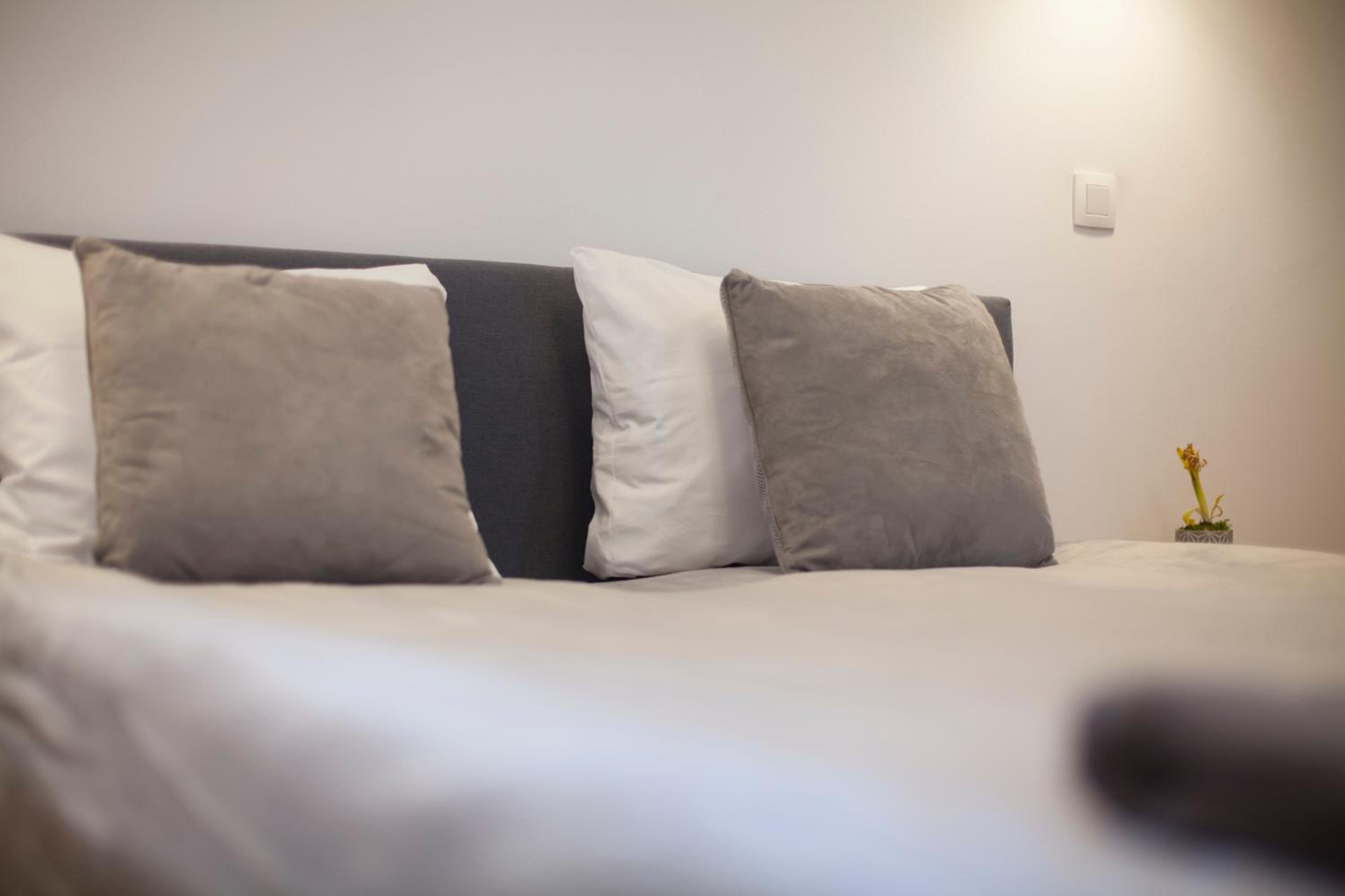 Studio Apartment photo 2