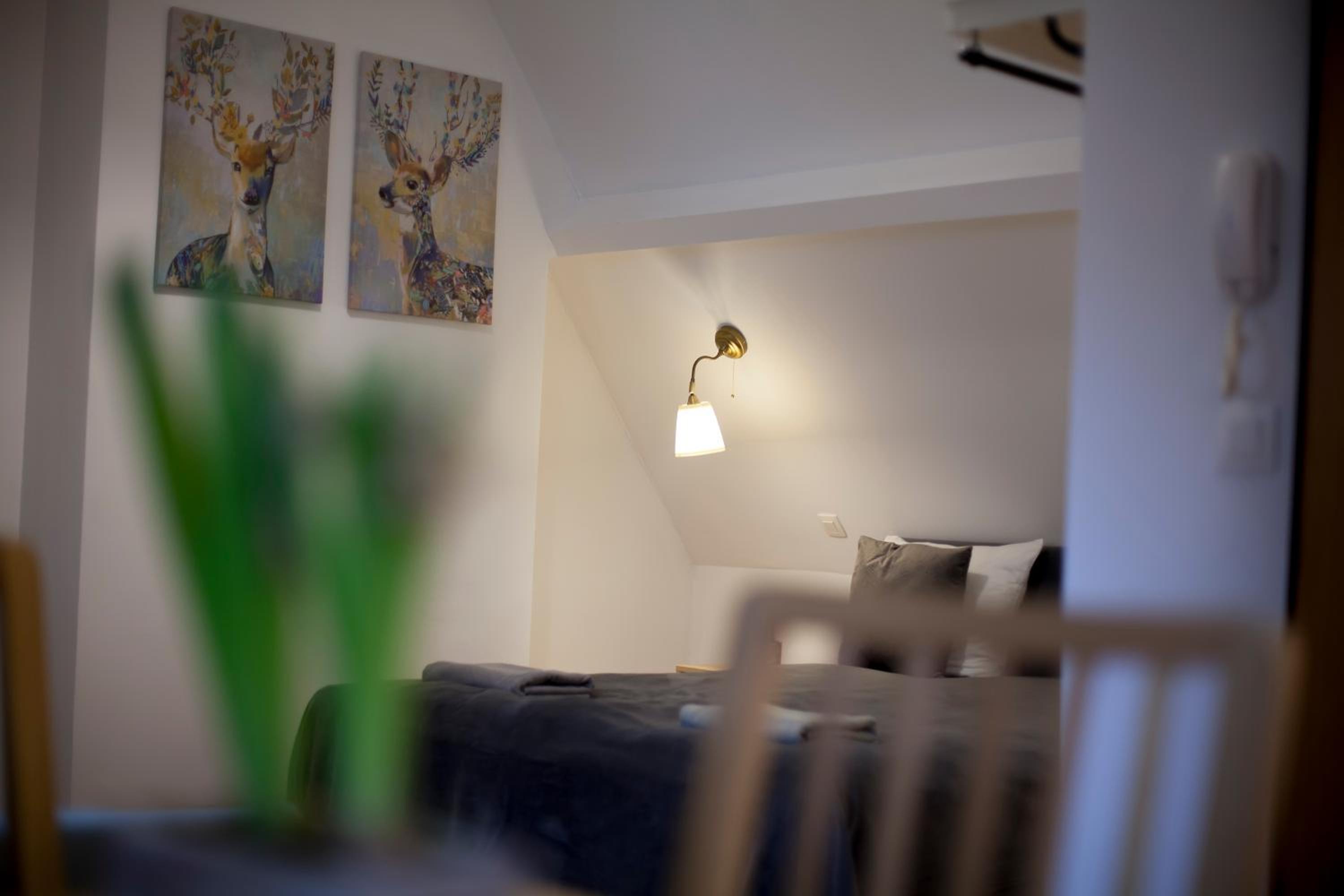 Studio Apartment photo 2