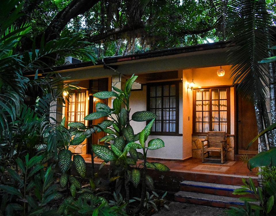 Standard Double Room - Photo 2