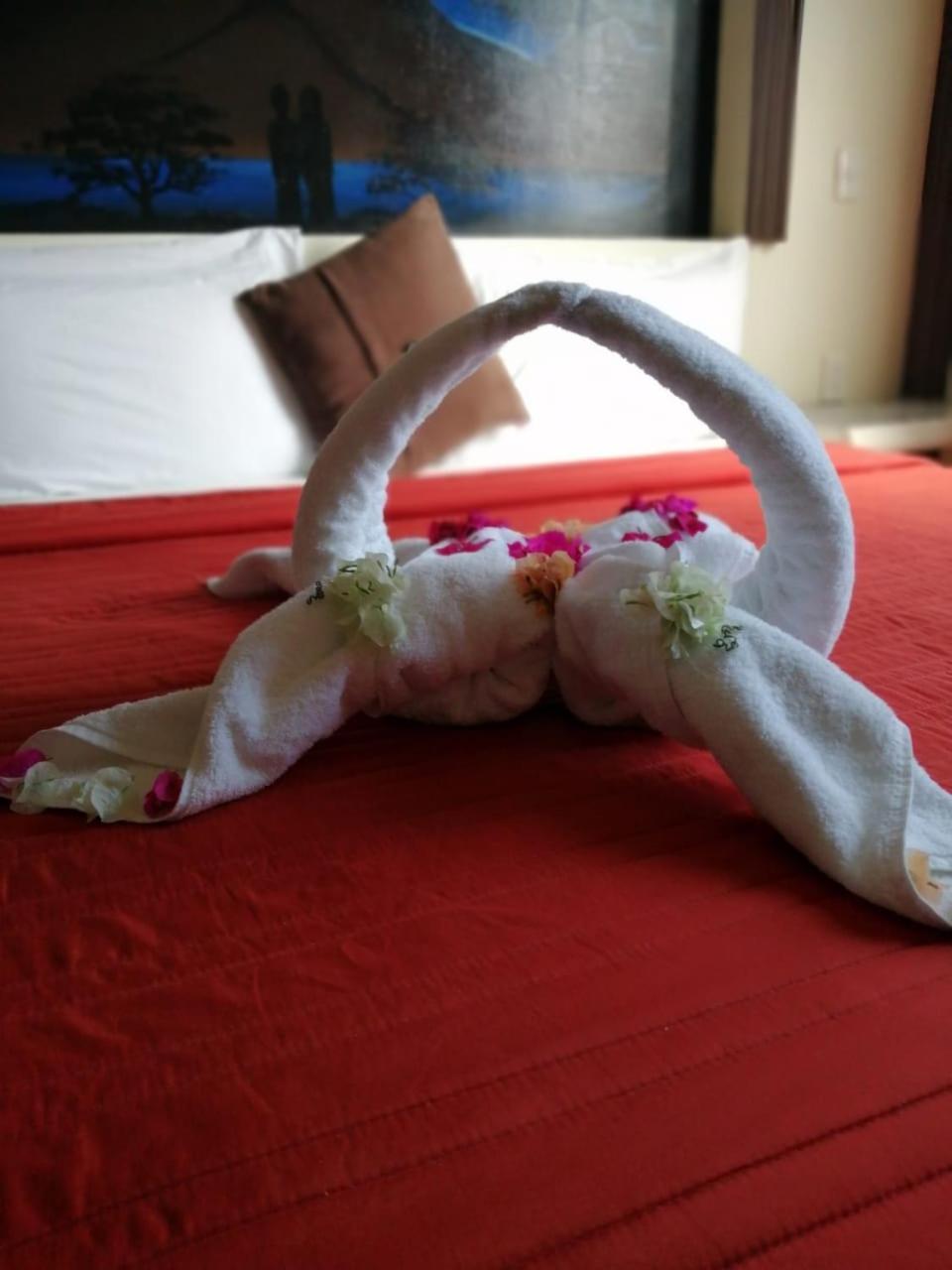 Twin Room - Photo 1