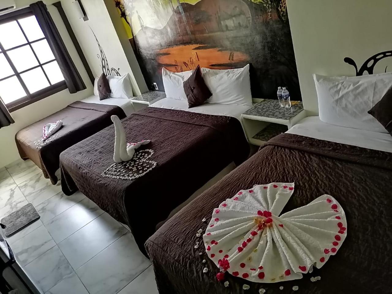 Triple Room - Photo 8