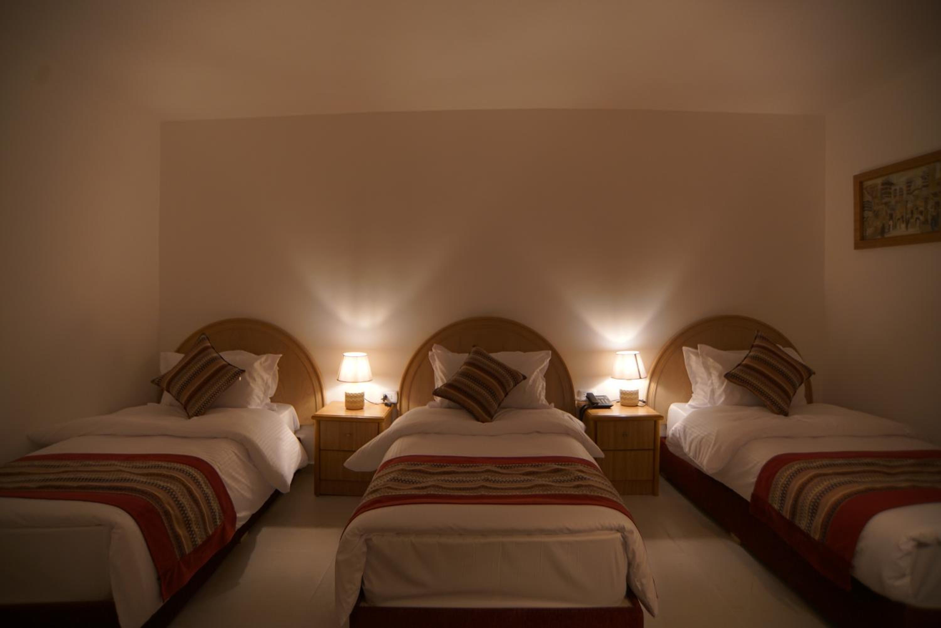 Deluxe Triple Room - Photo 15