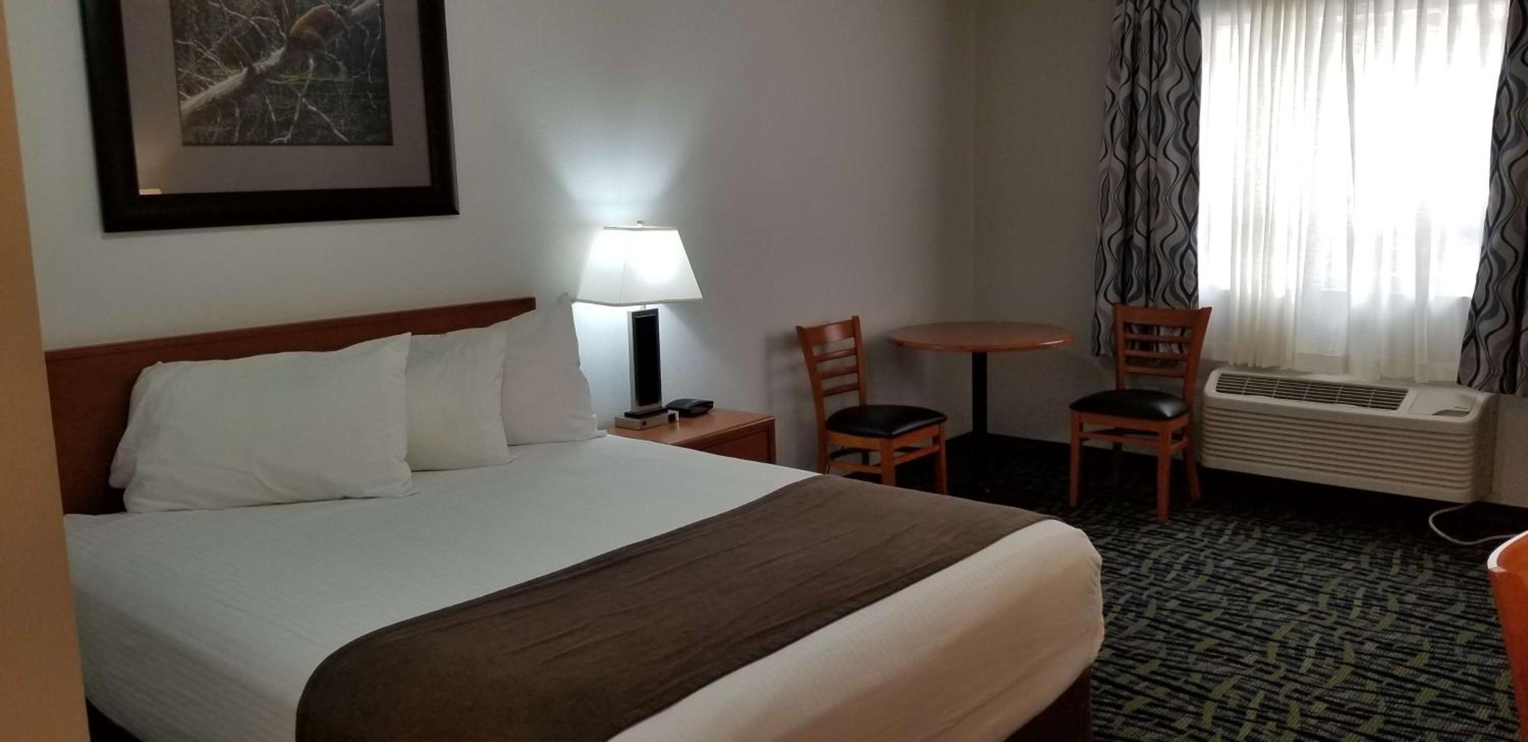 Queen Room - Mobility Access - Photo 2