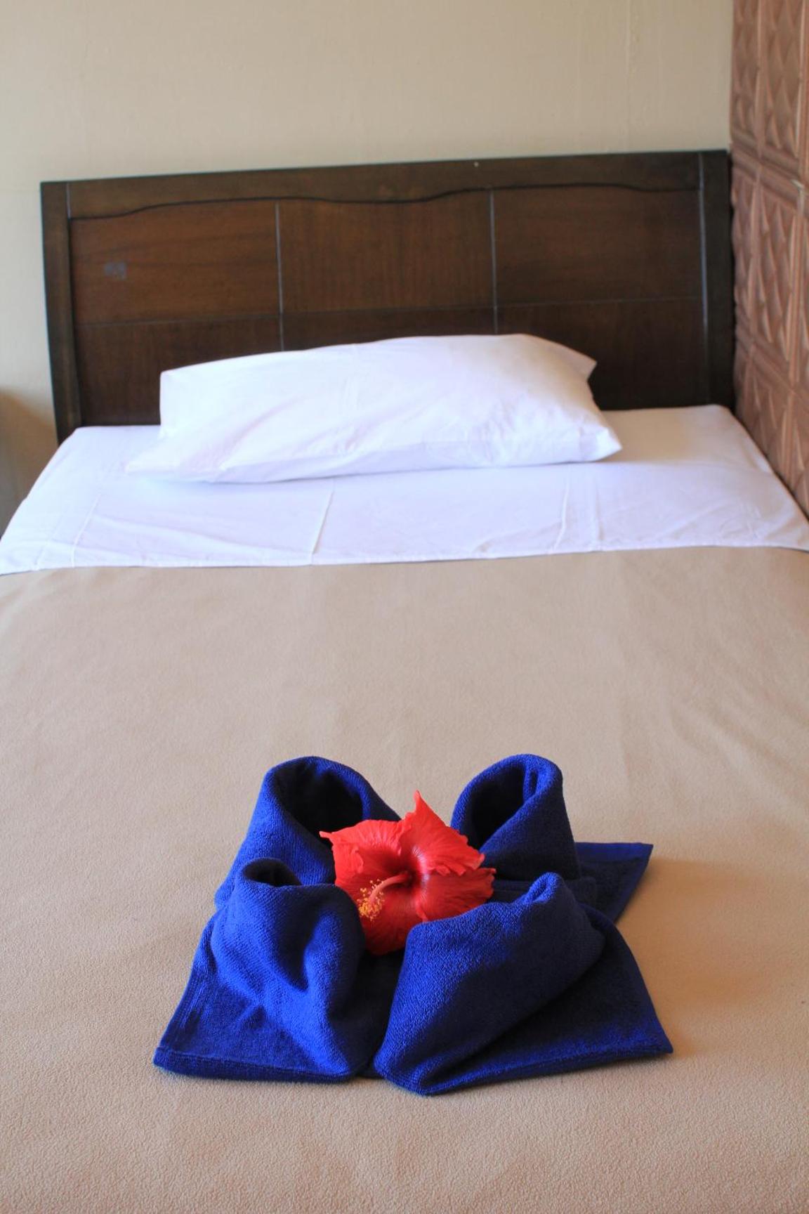 Single Bed in Mixed Dormitory Room photo 1