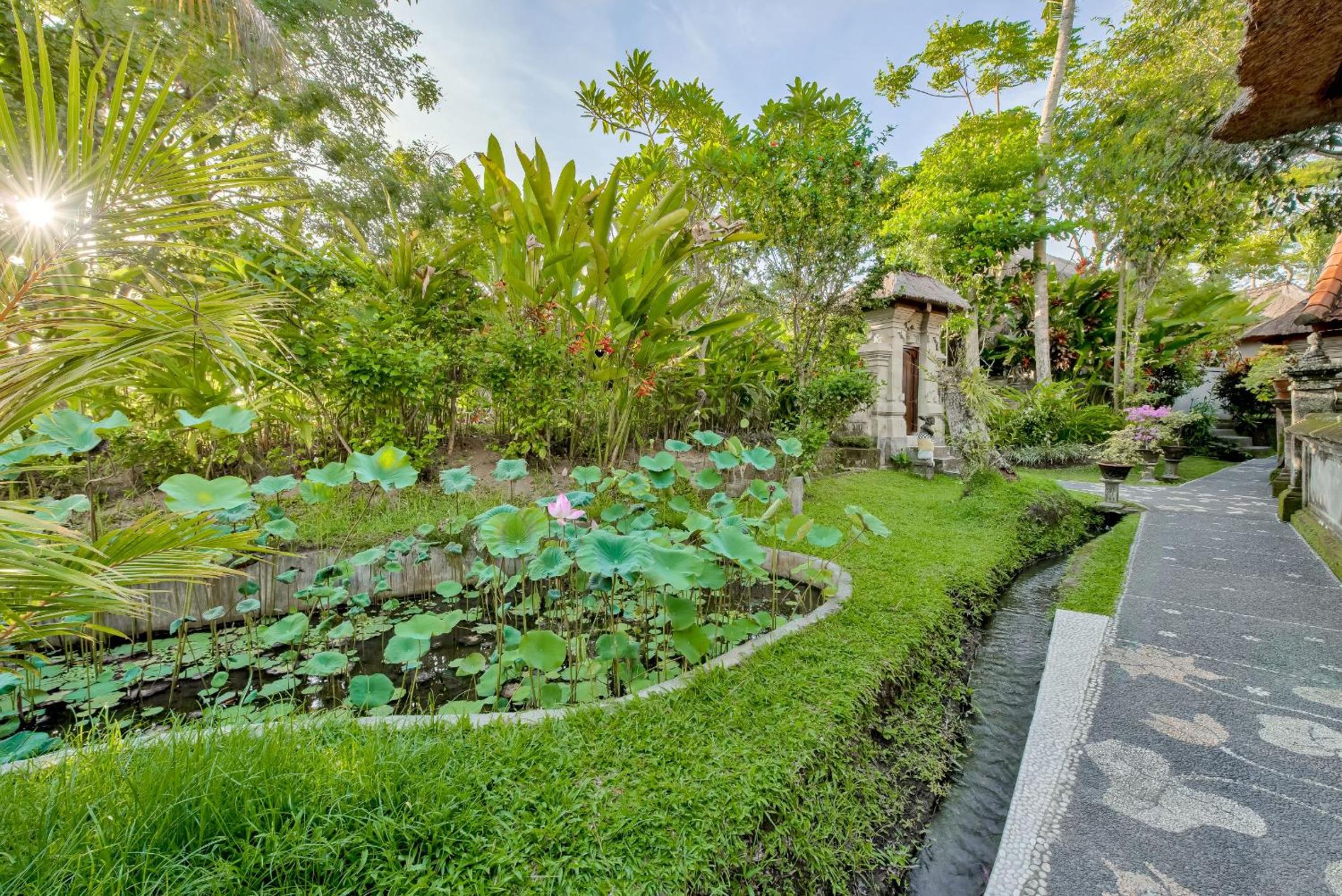 One-Bedroom Villa photo 2