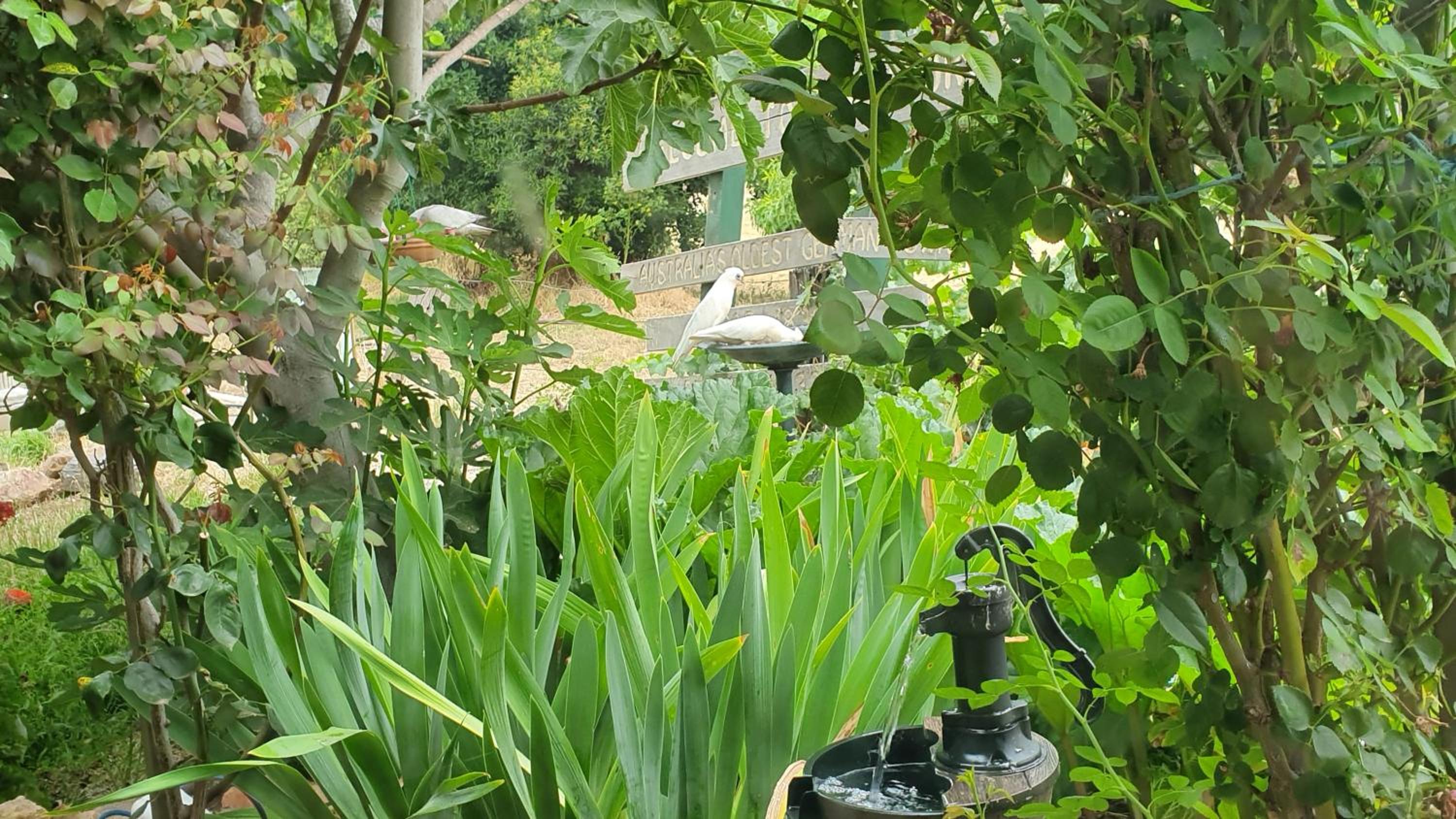 Amble Wren Spa Cottage - Photo 11