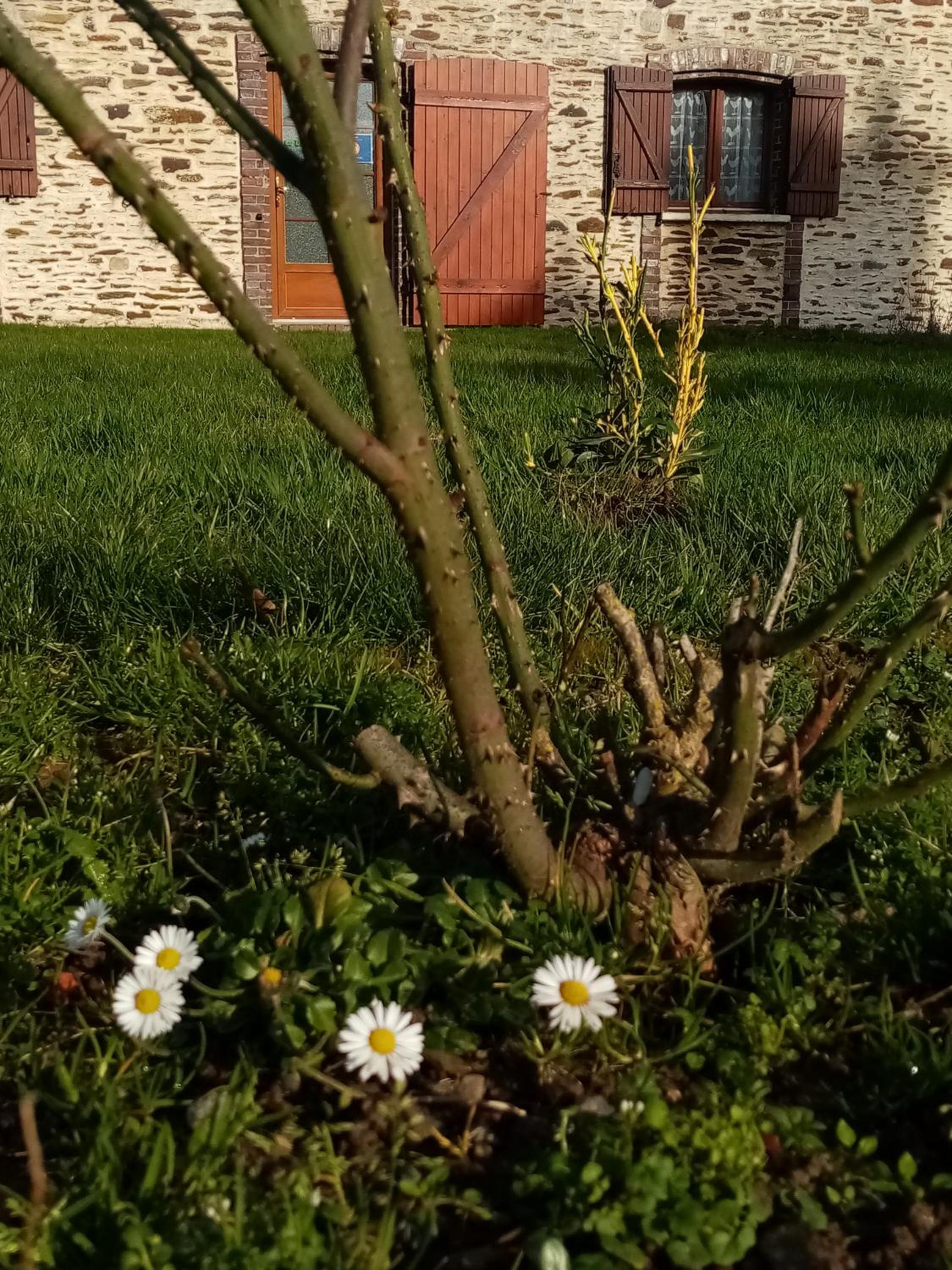 One-Bedroom House - Photo 19