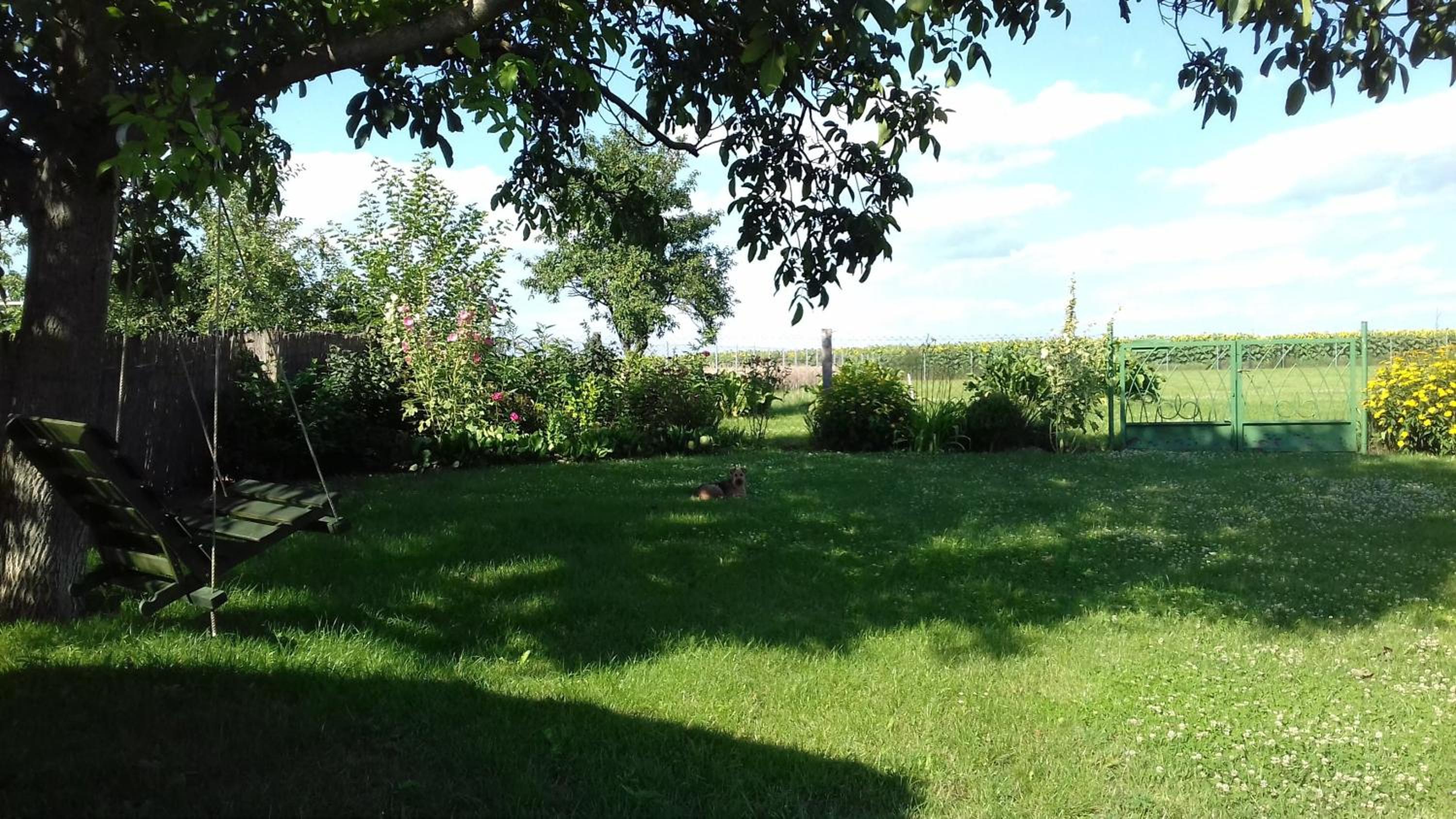 Holiday Home photo 3