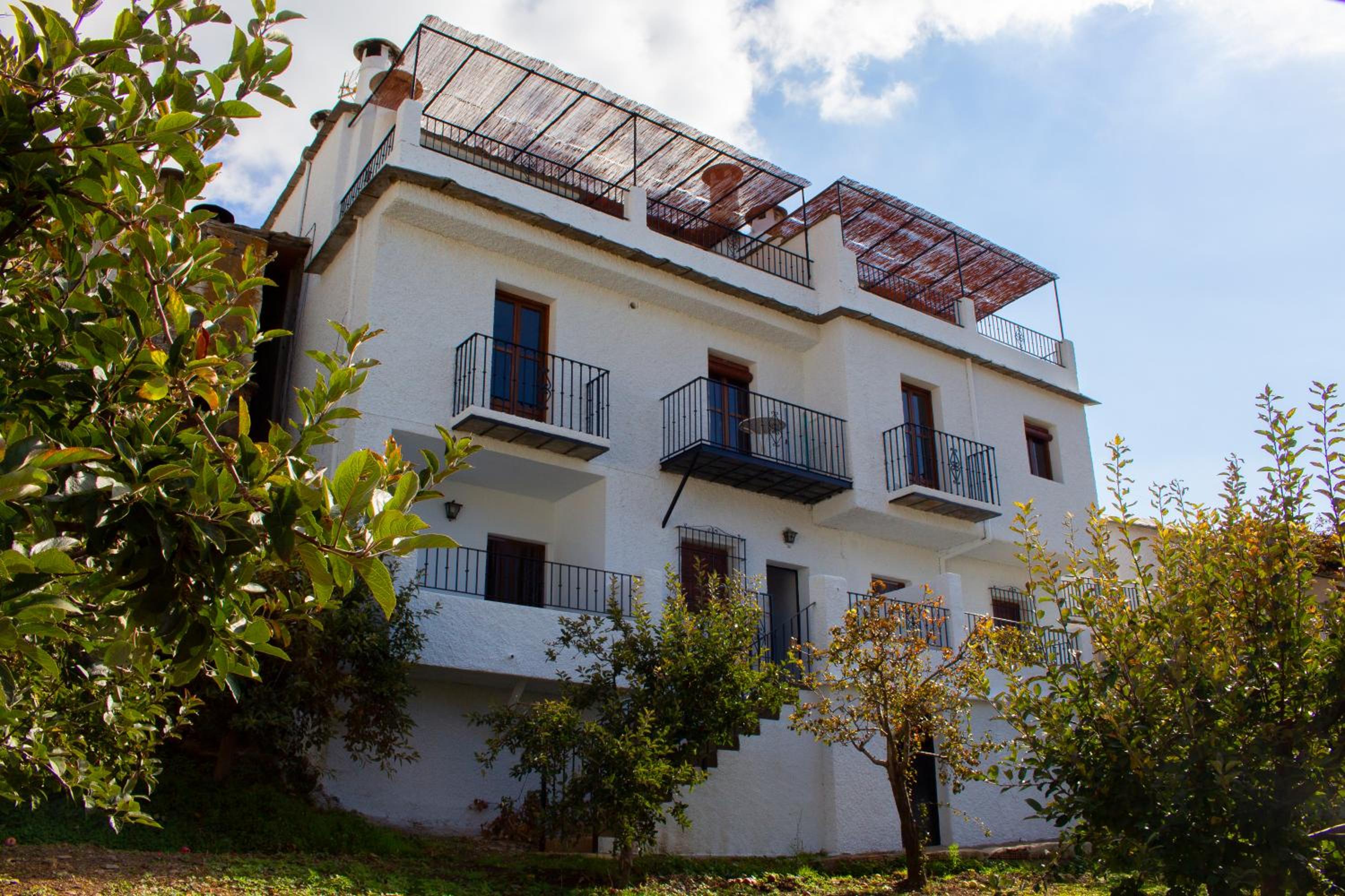 Apartment with Balcony photo 3