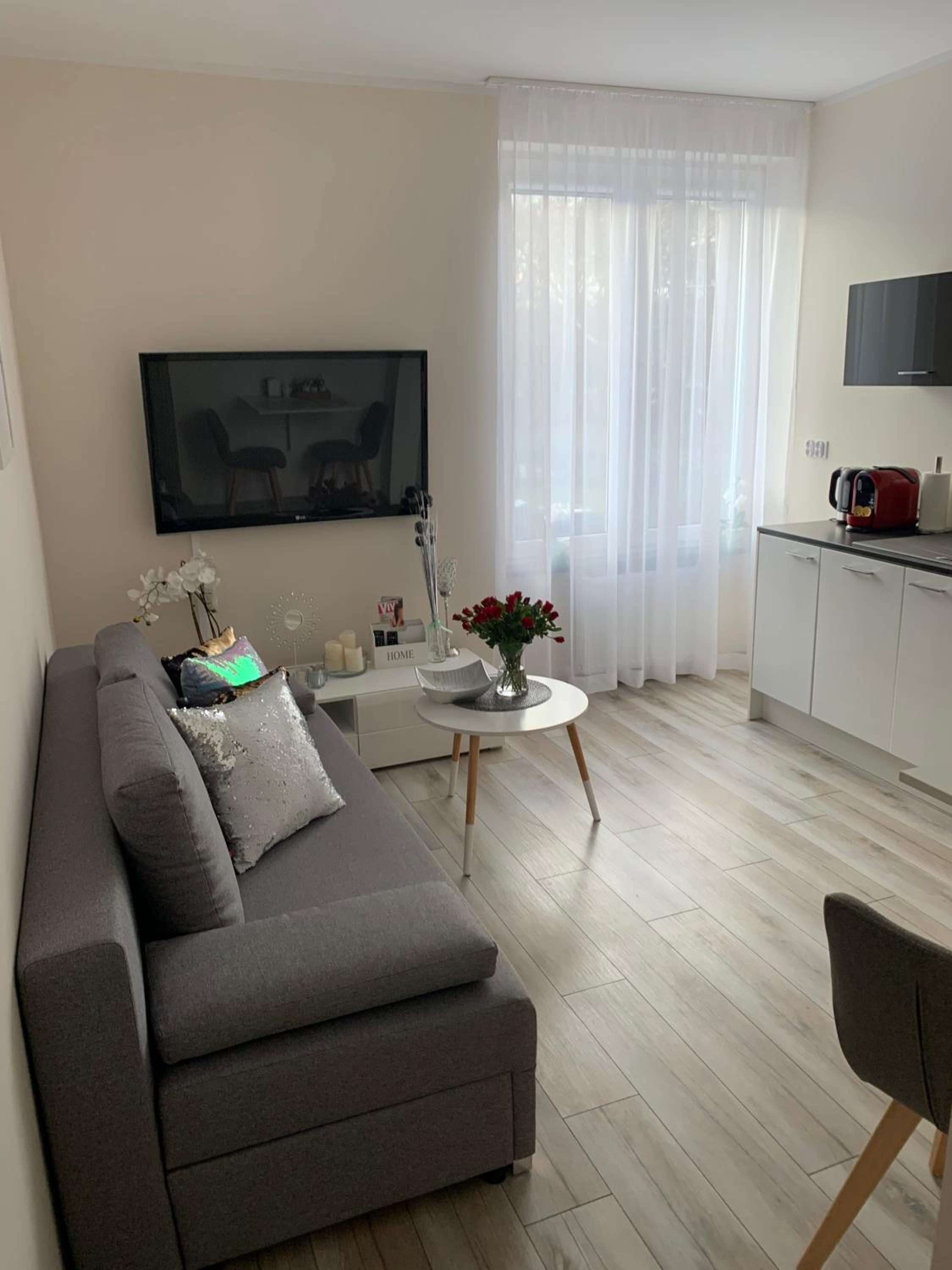 One-Bedroom Apartment photo 3
