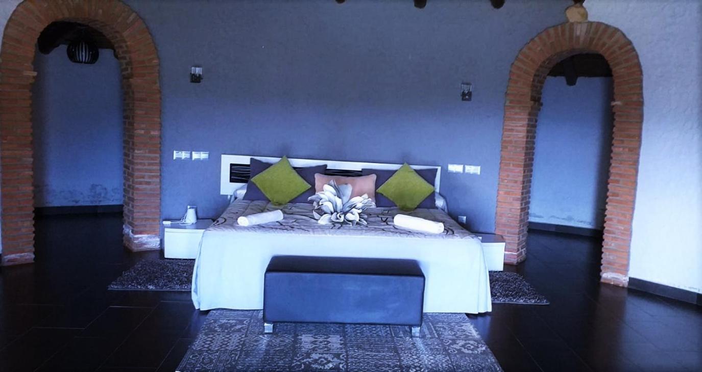 Superior Suite - Photo 1