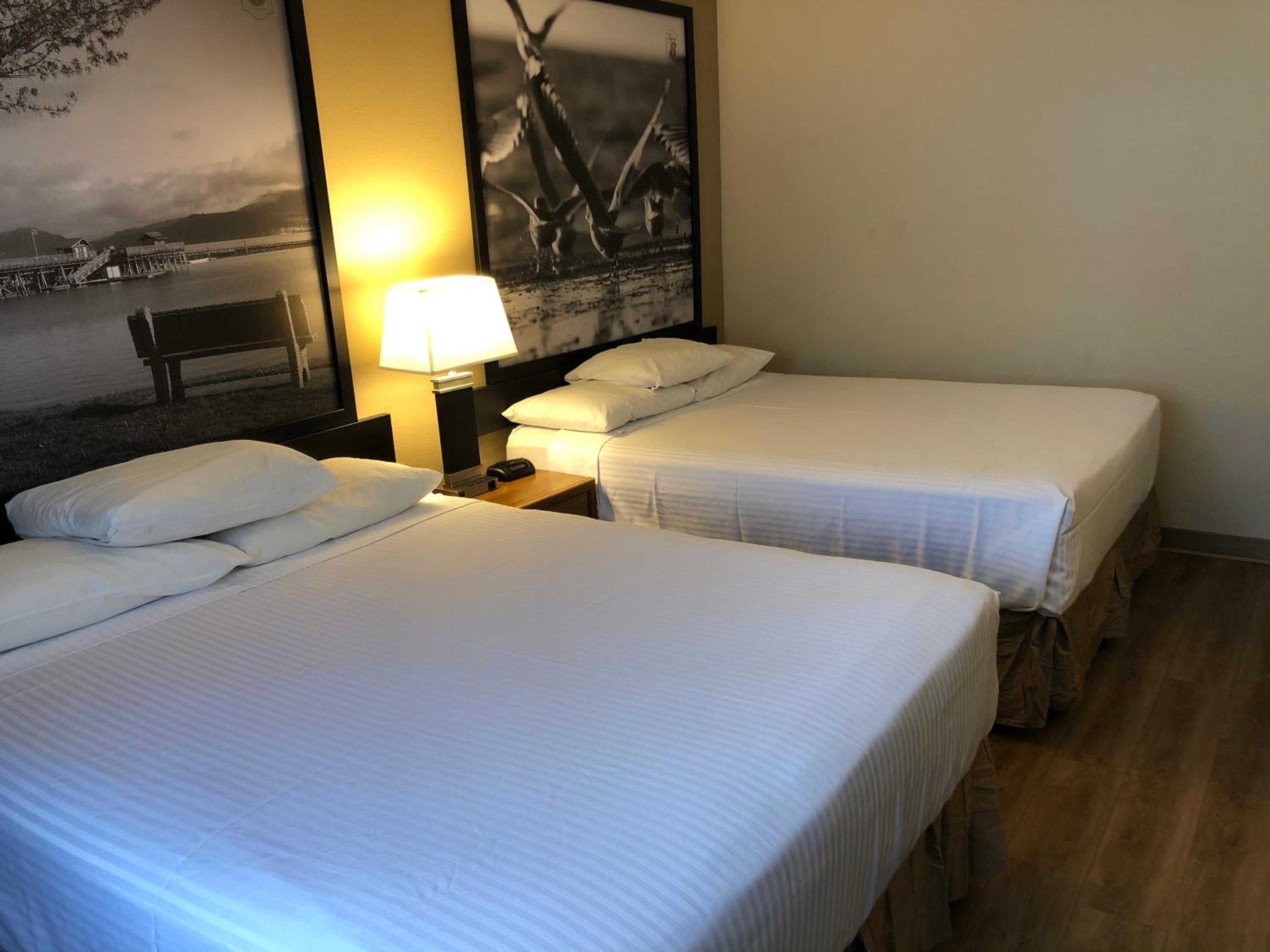 Queen Room with Two Queen Beds - Pet Friendly/Non-Smoking - Photo 4
