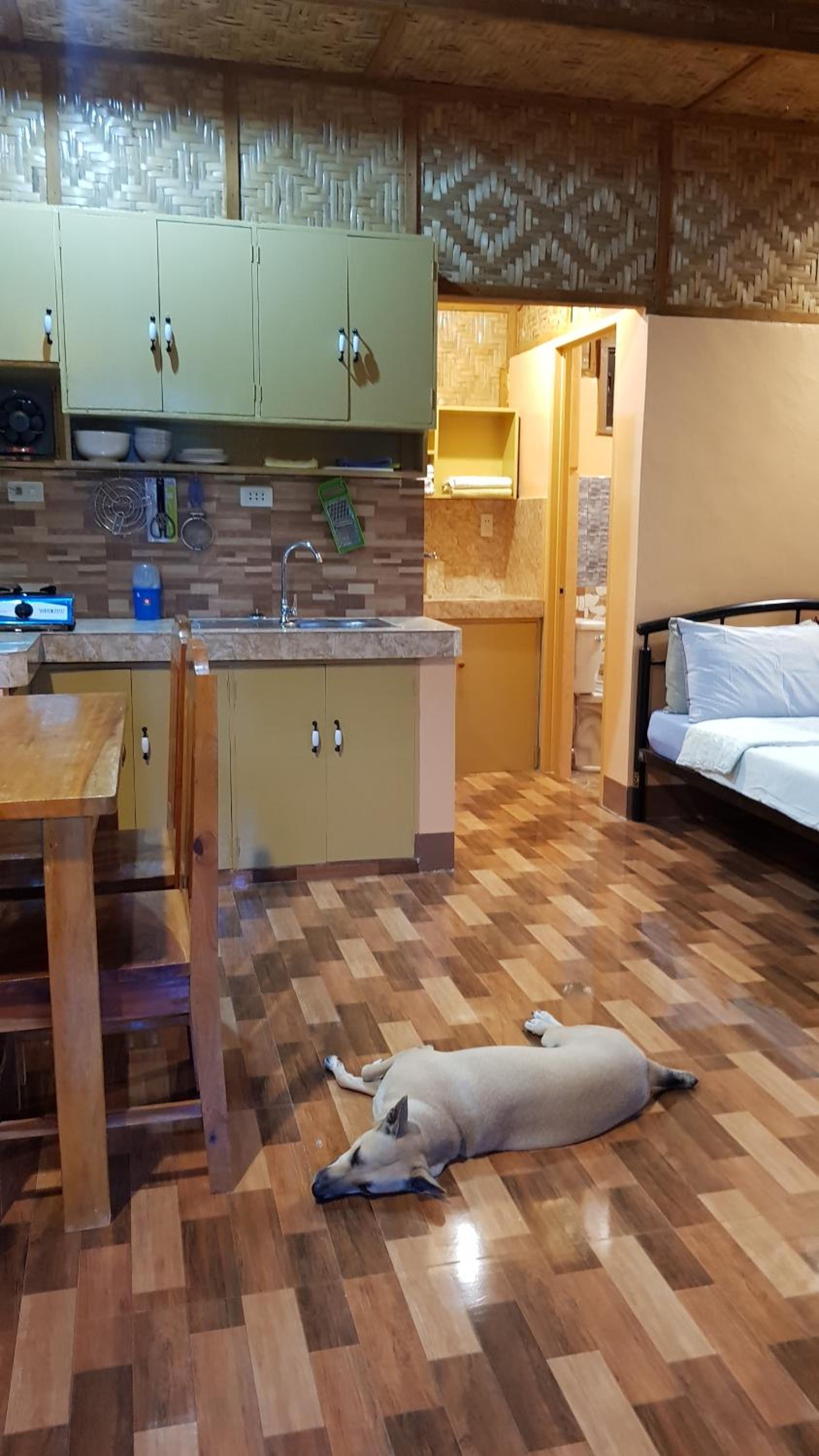 Double or Twin Room with Garden View - Photo 8