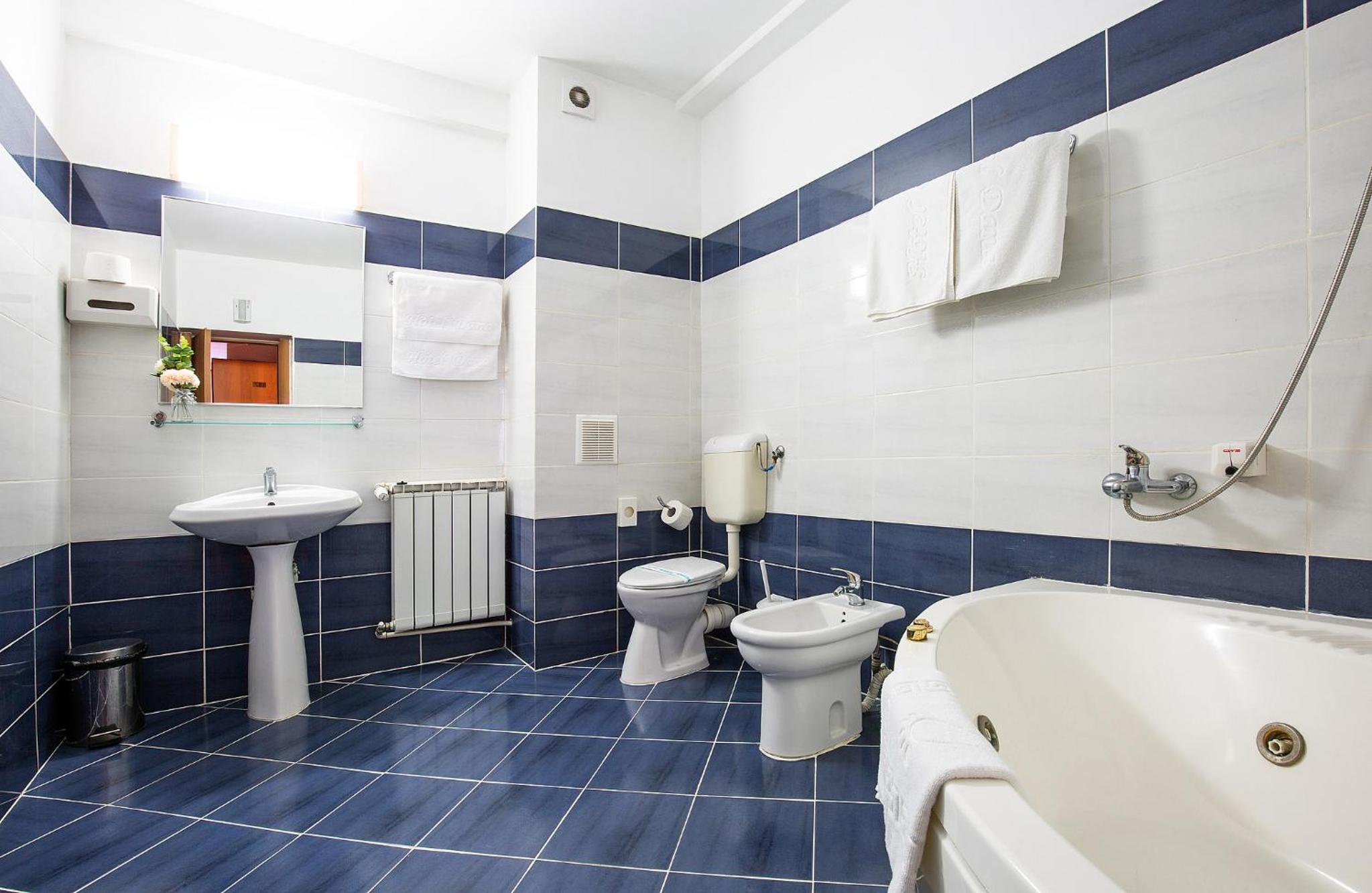 One-Bedroom Suite - Photo 3