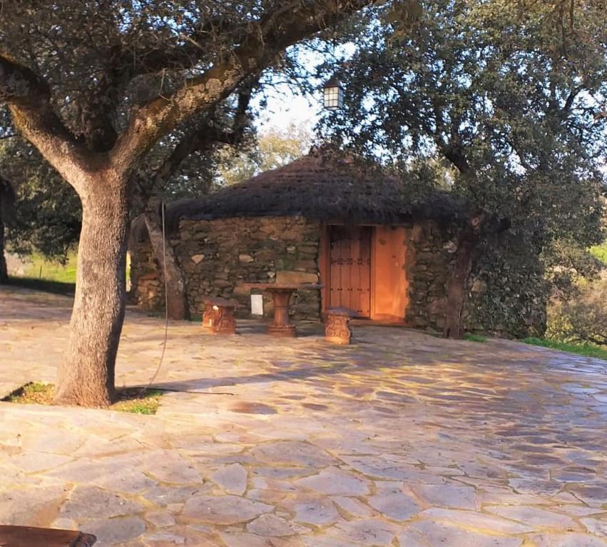 Standard Bungalow - Photo 4