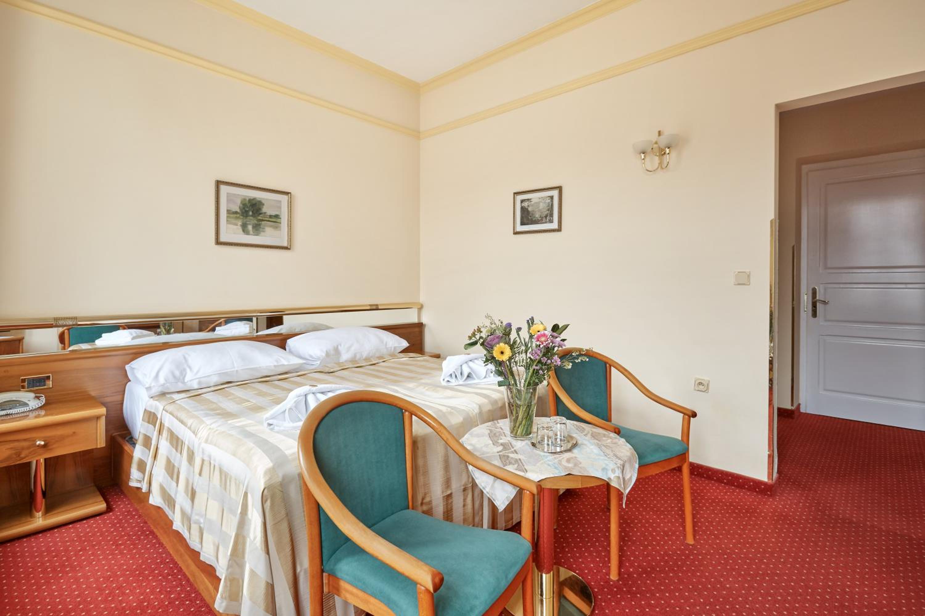 Double or Twin Room (view of the gardens Dvorak) - Photo 3