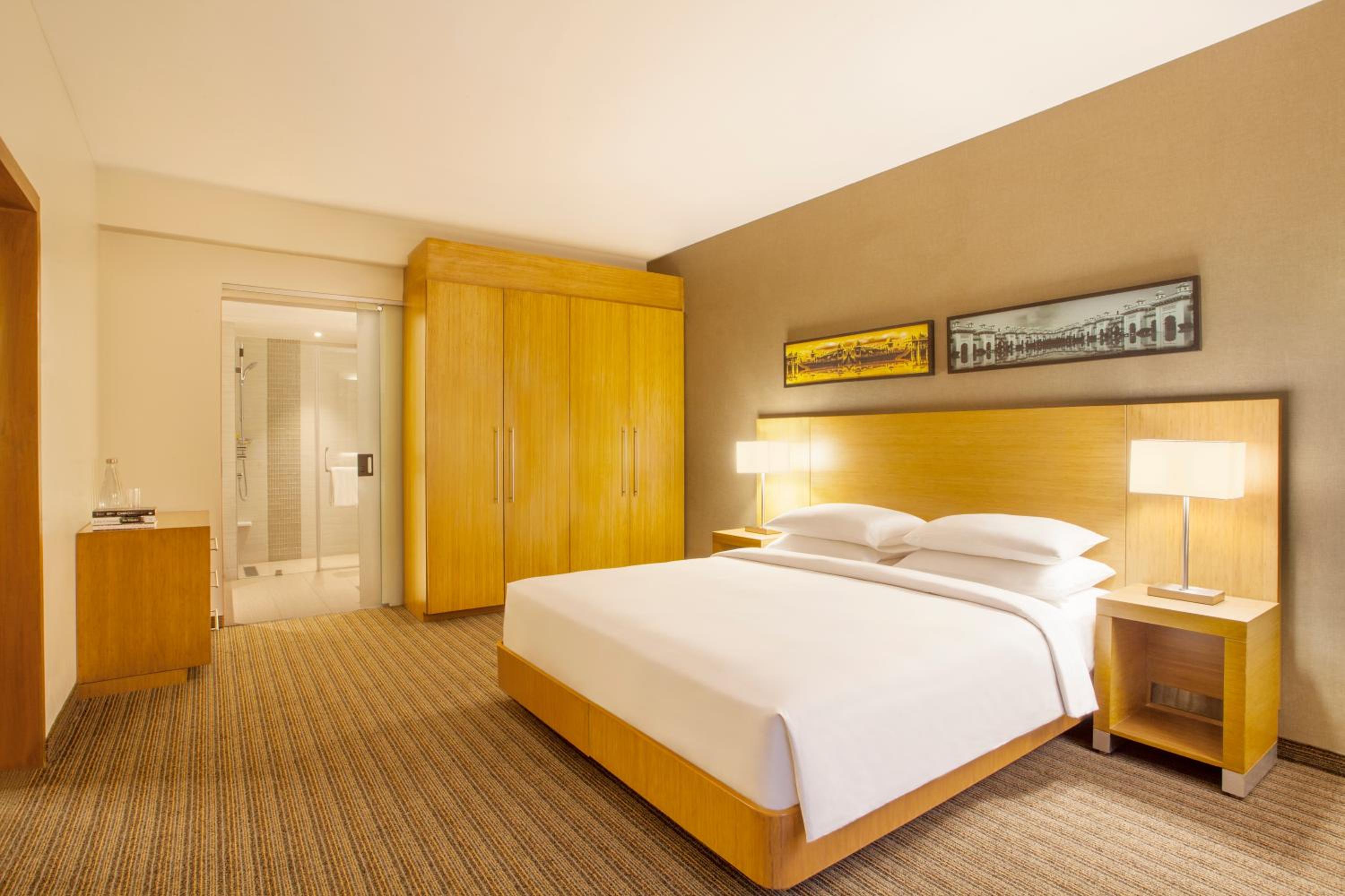 Deluxe Suite  photo 3
