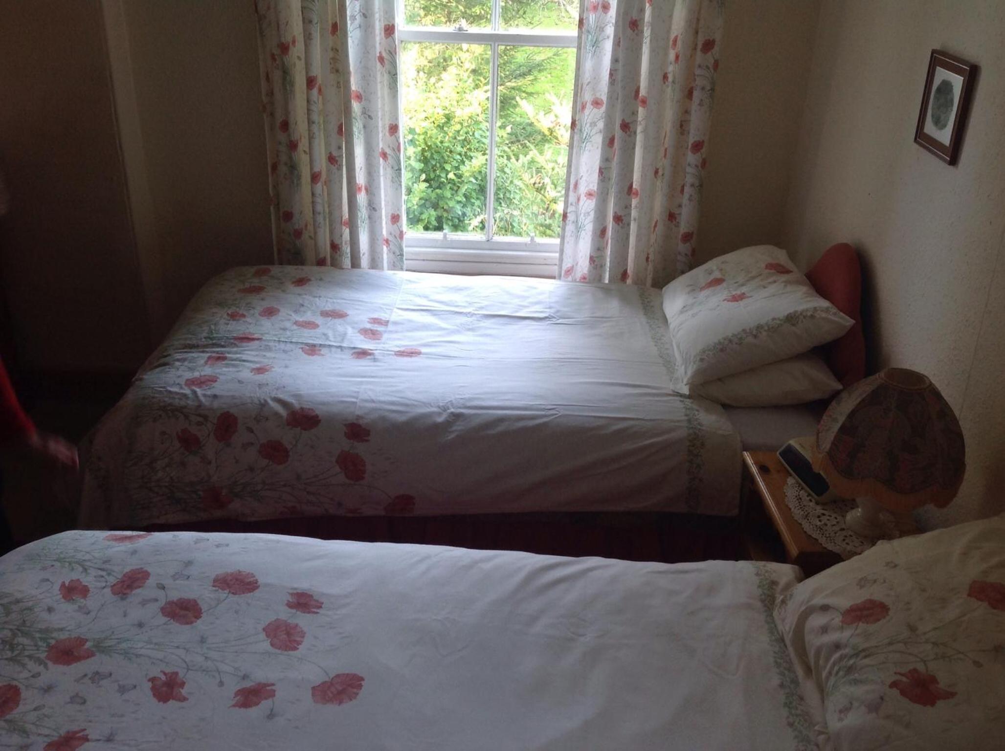 Twin Room photo 1
