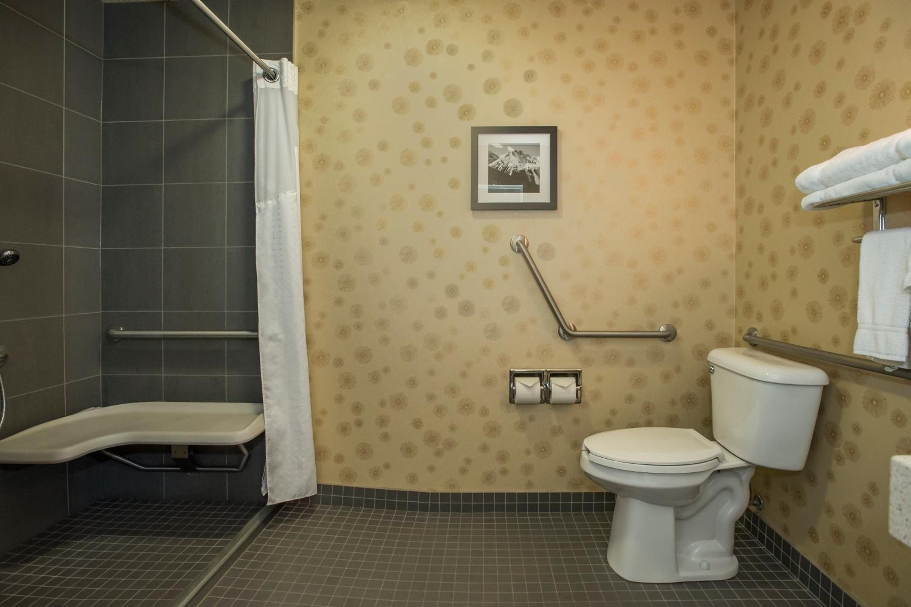 Double Room - Disability Access/Roll-In Shower - Photo 9
