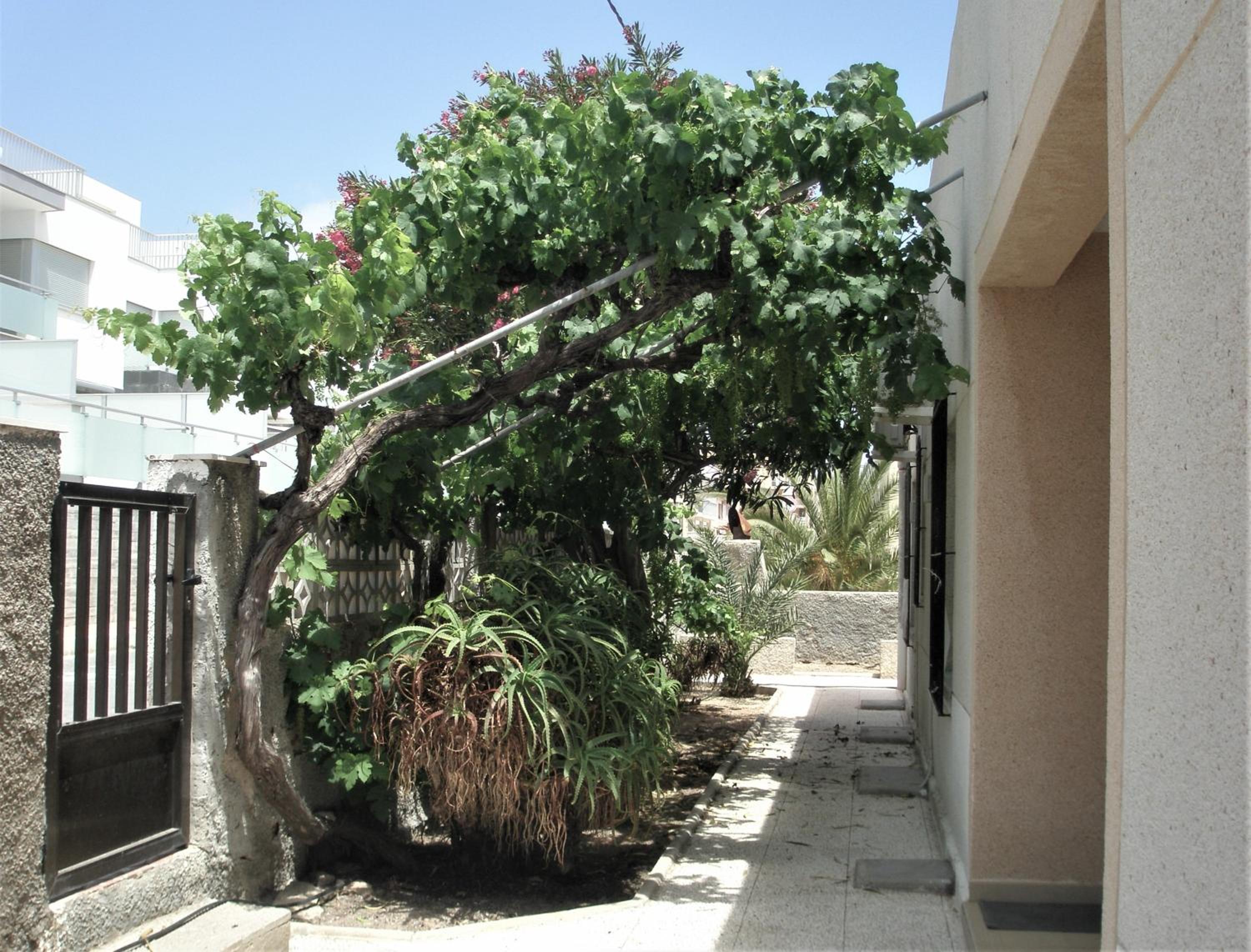Apartment with Terrace photo 2