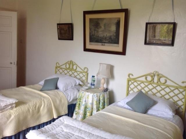Twin Room with Garden View