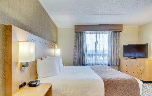 Double Room with Two Double Beds - Pet Friendly/Non-Smoking - Photo 5