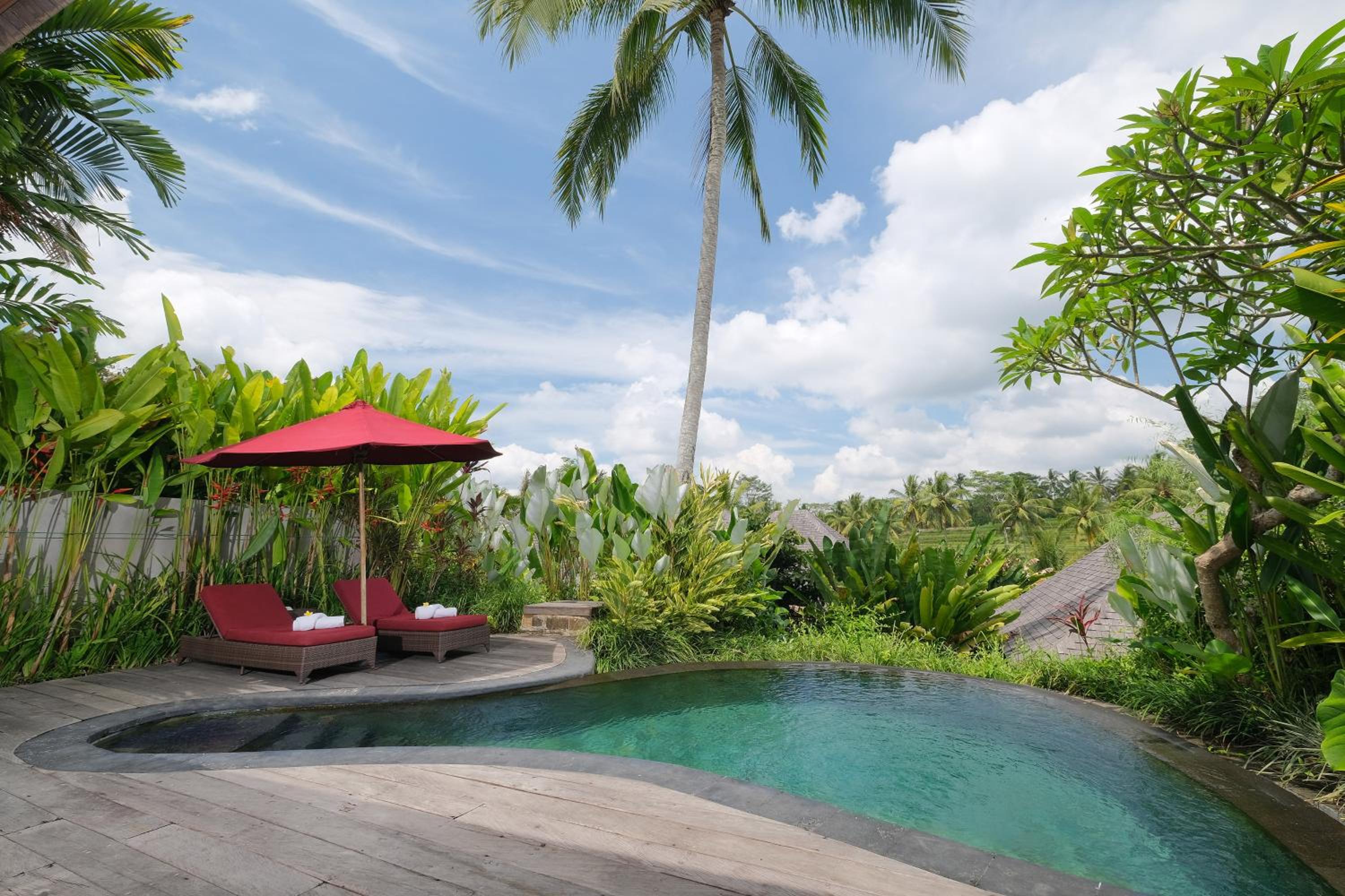 One-Bedroom Royal Pool Villa with Rice Terrace View photo 2