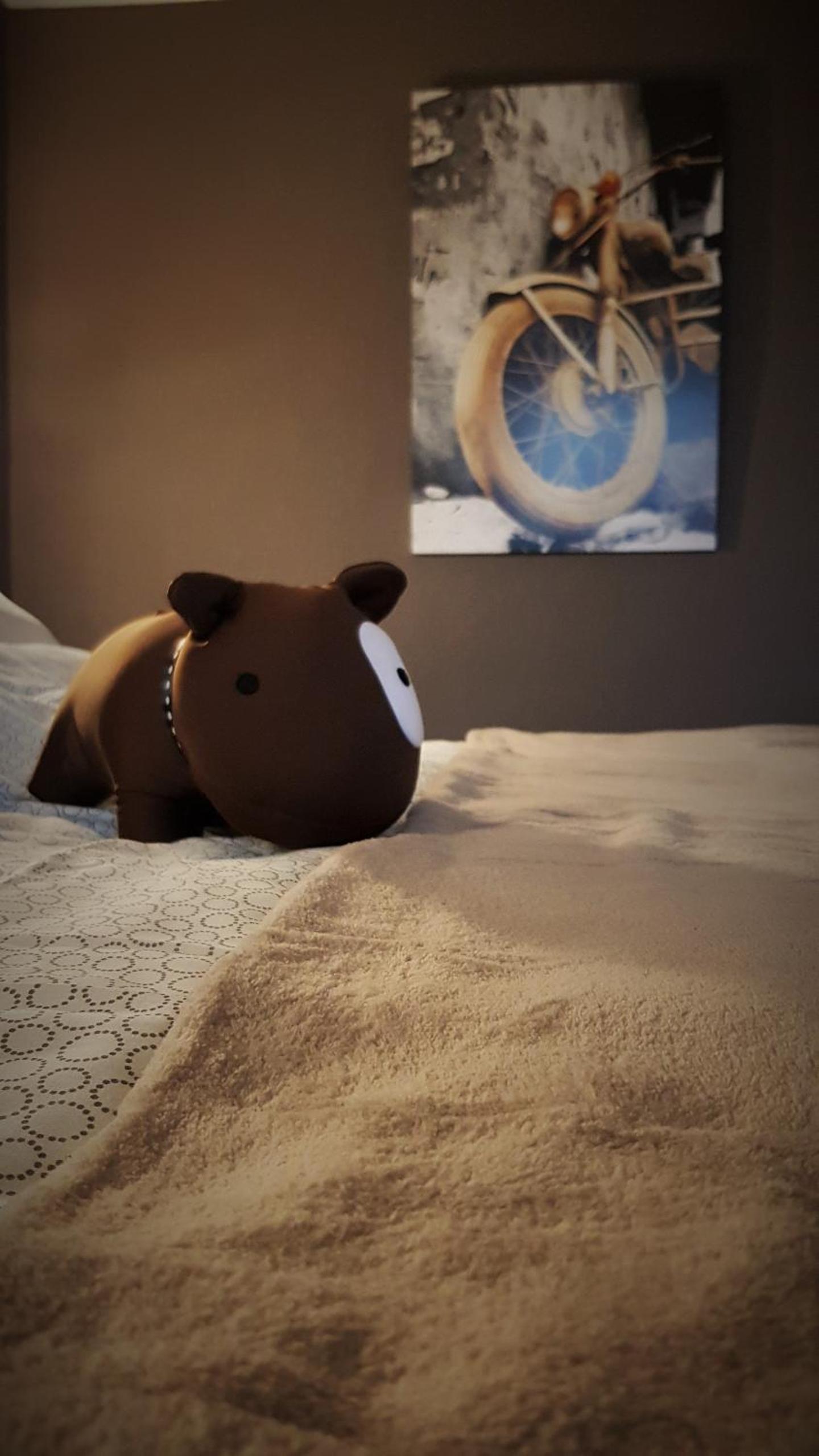 Double Room - Photo 6
