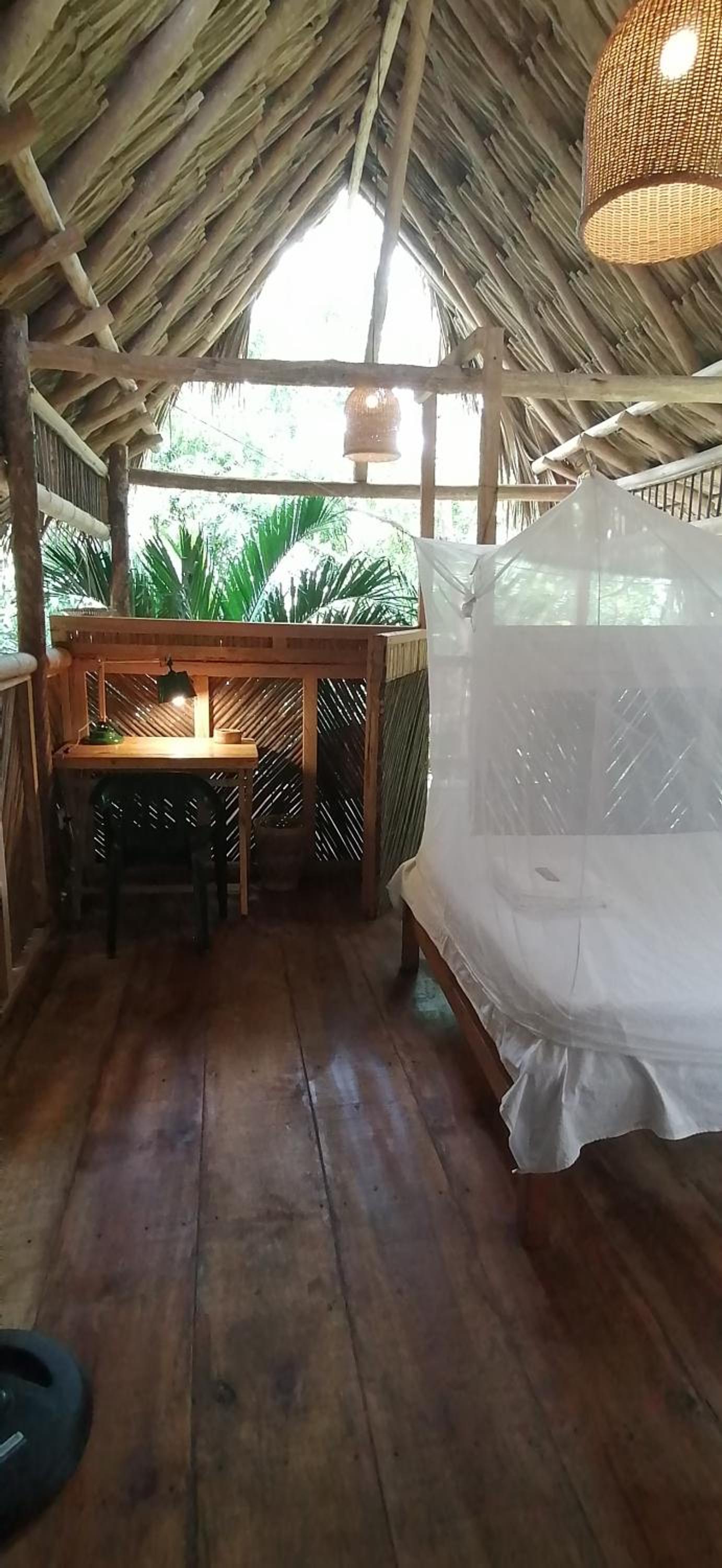 Bungalow with Garden View photo 1