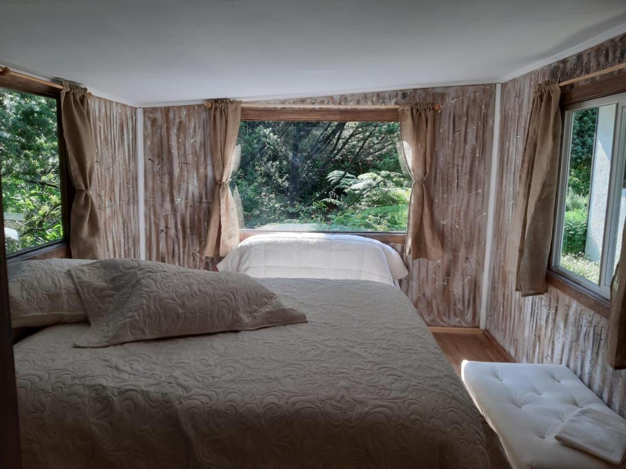 One-Bedroom House photo 3