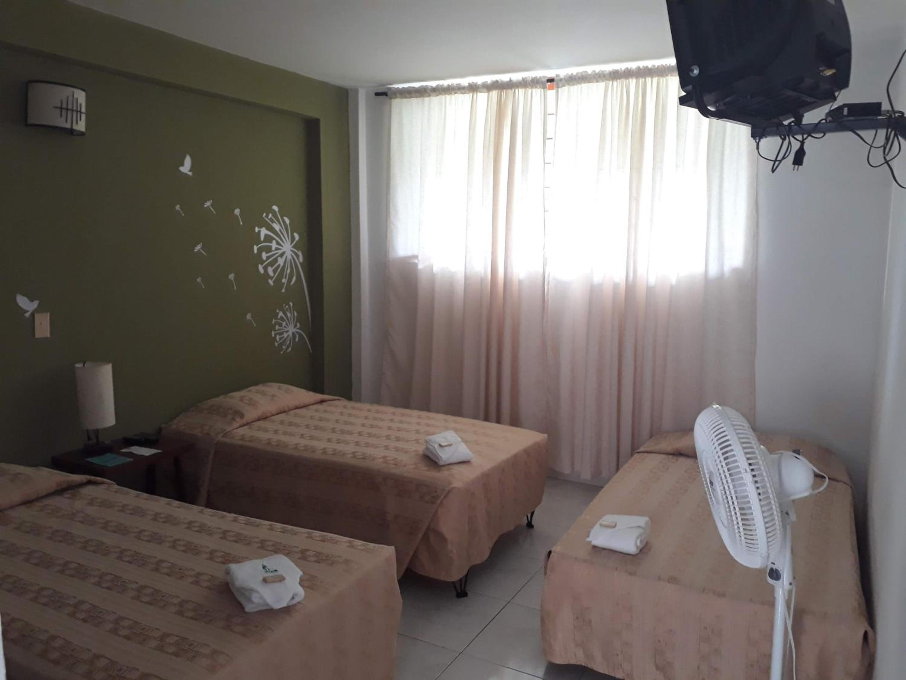 Triple Room photo 1