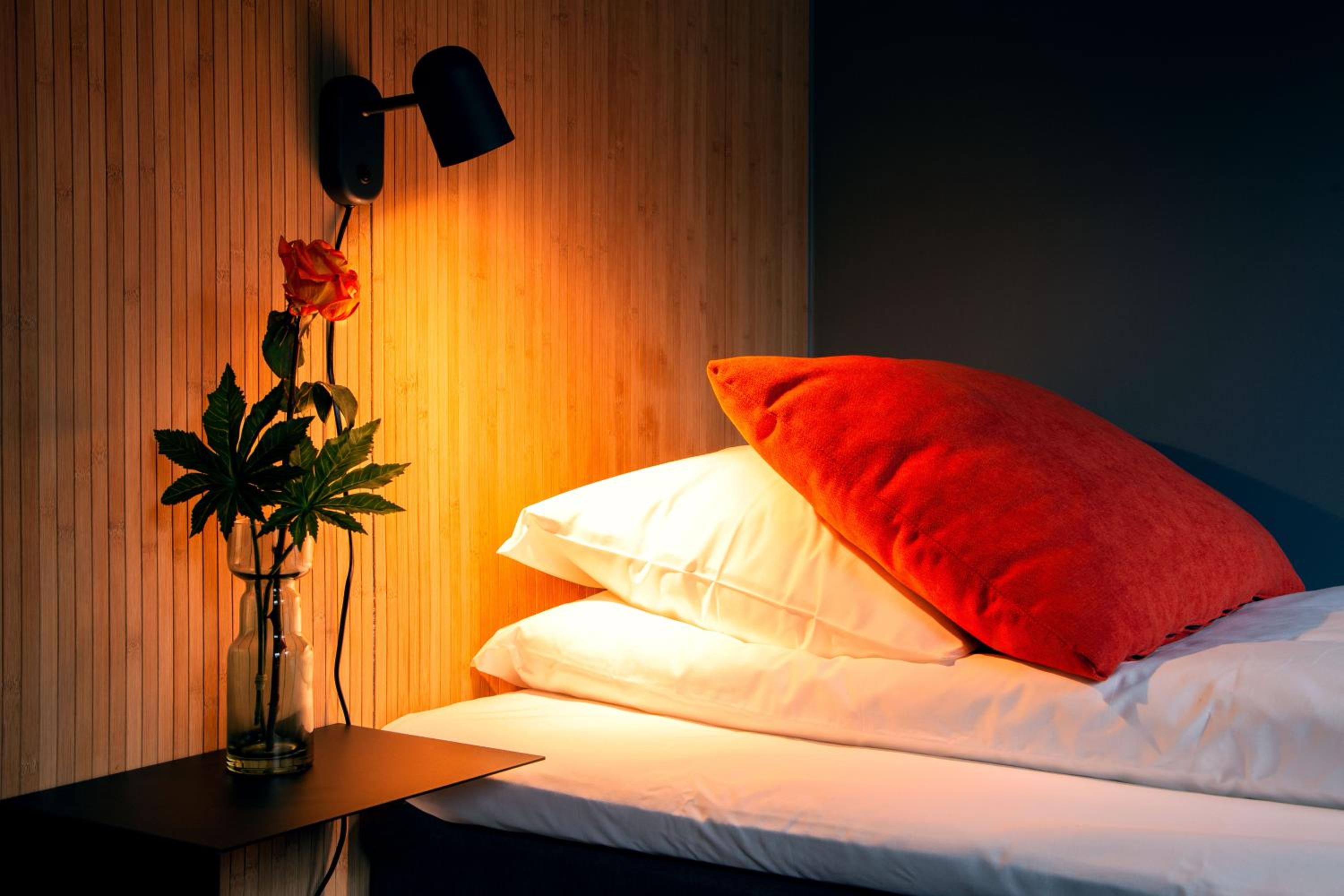 Superior Single Room photo 3