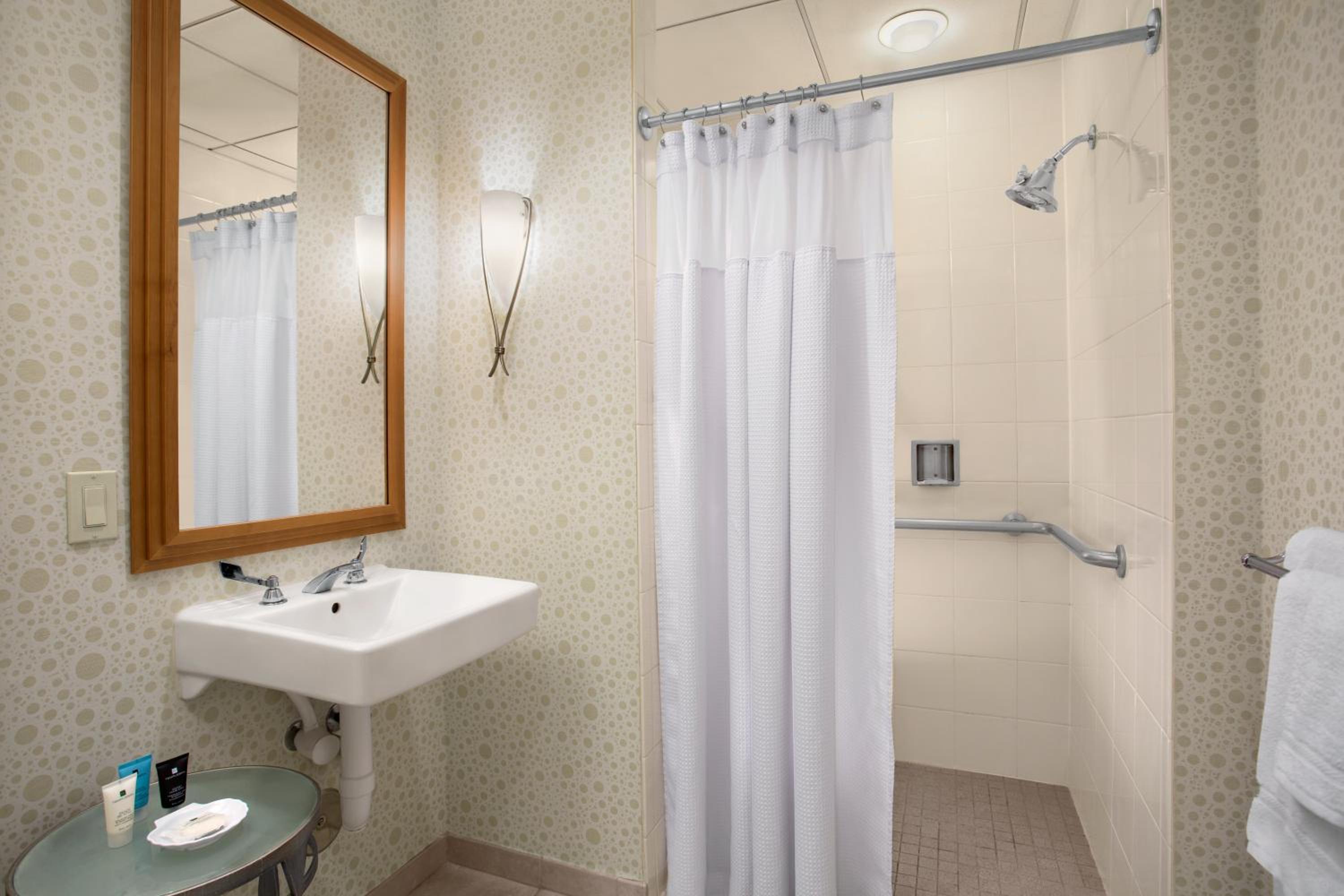 Standard King Room with Roll-in Shower - Mobility Accessible - Photo 2