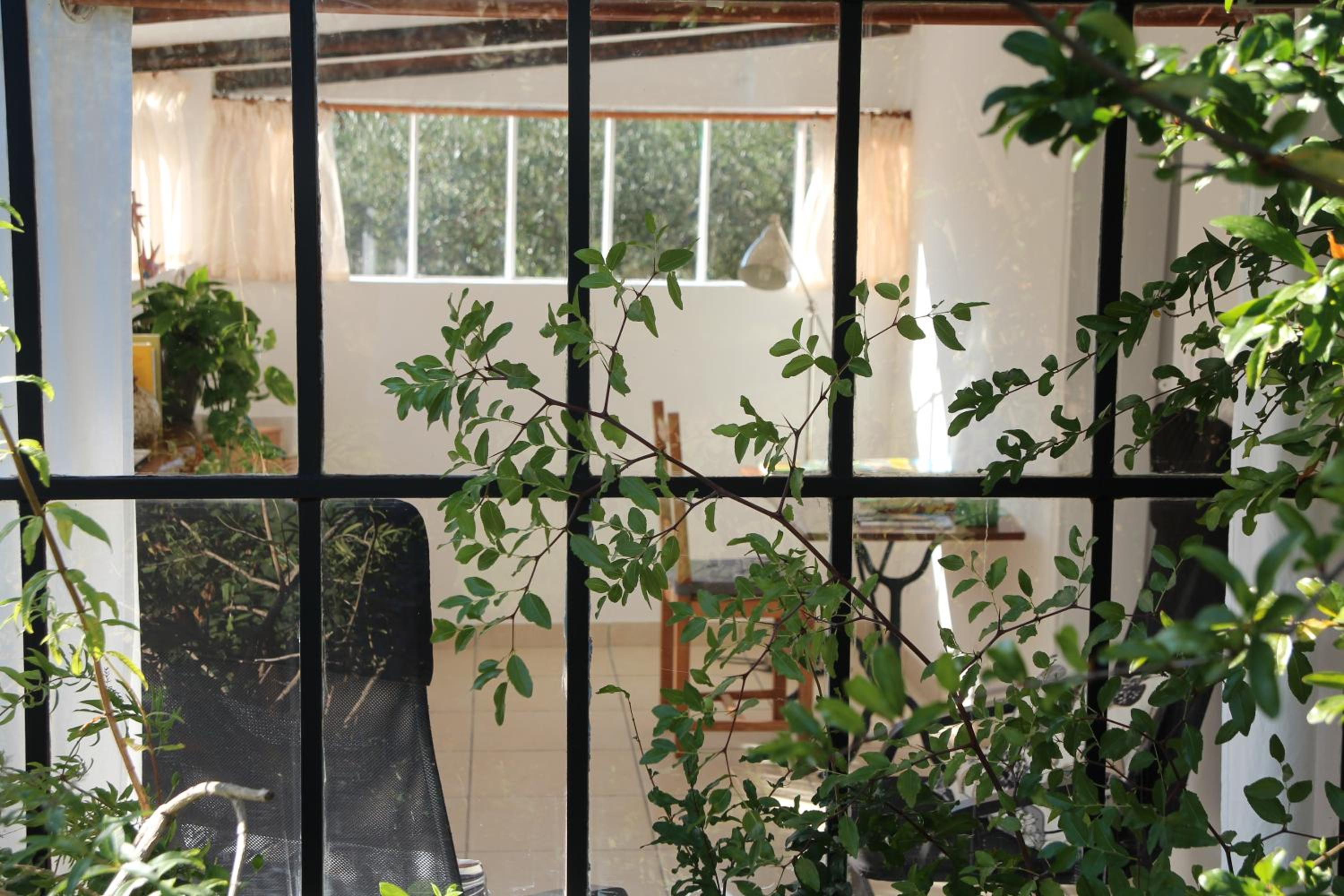 Double Room with Garden View photo 3