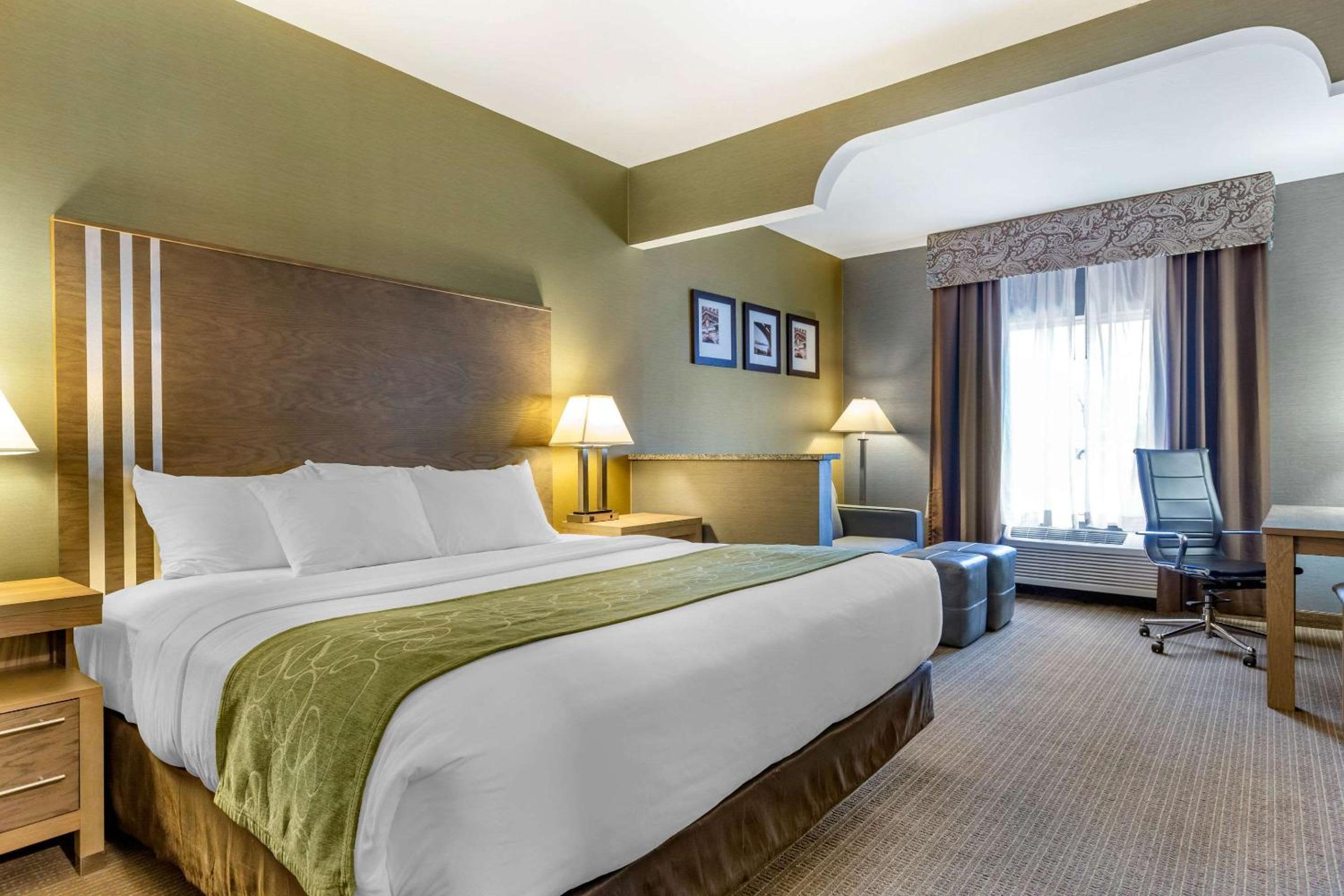 King Suite - Photo 7