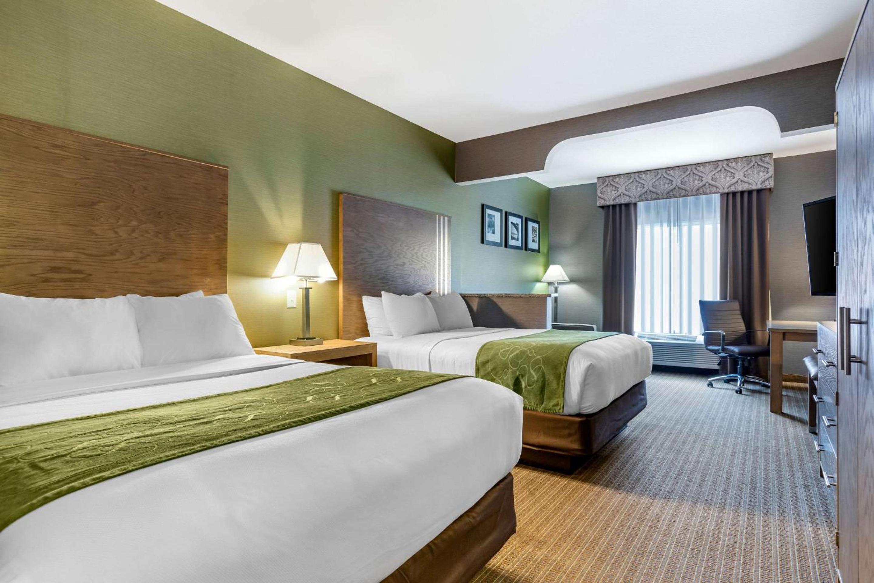Queen Suite - Photo 3
