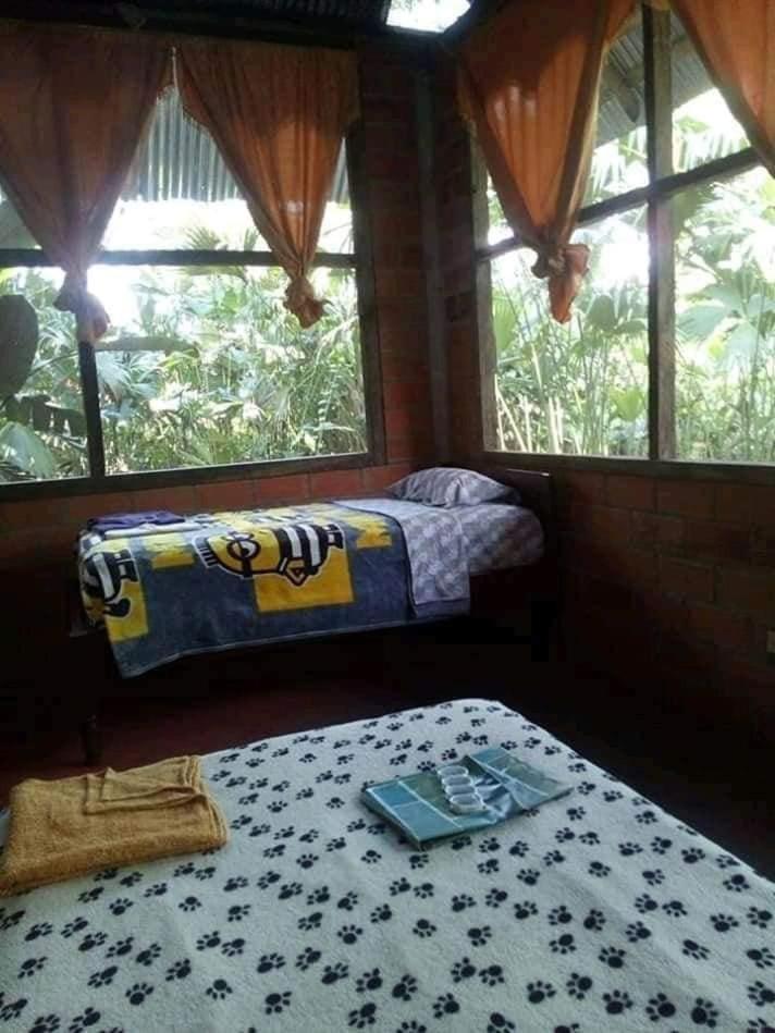 4-Bed Mixed Dormitory Room photo 1