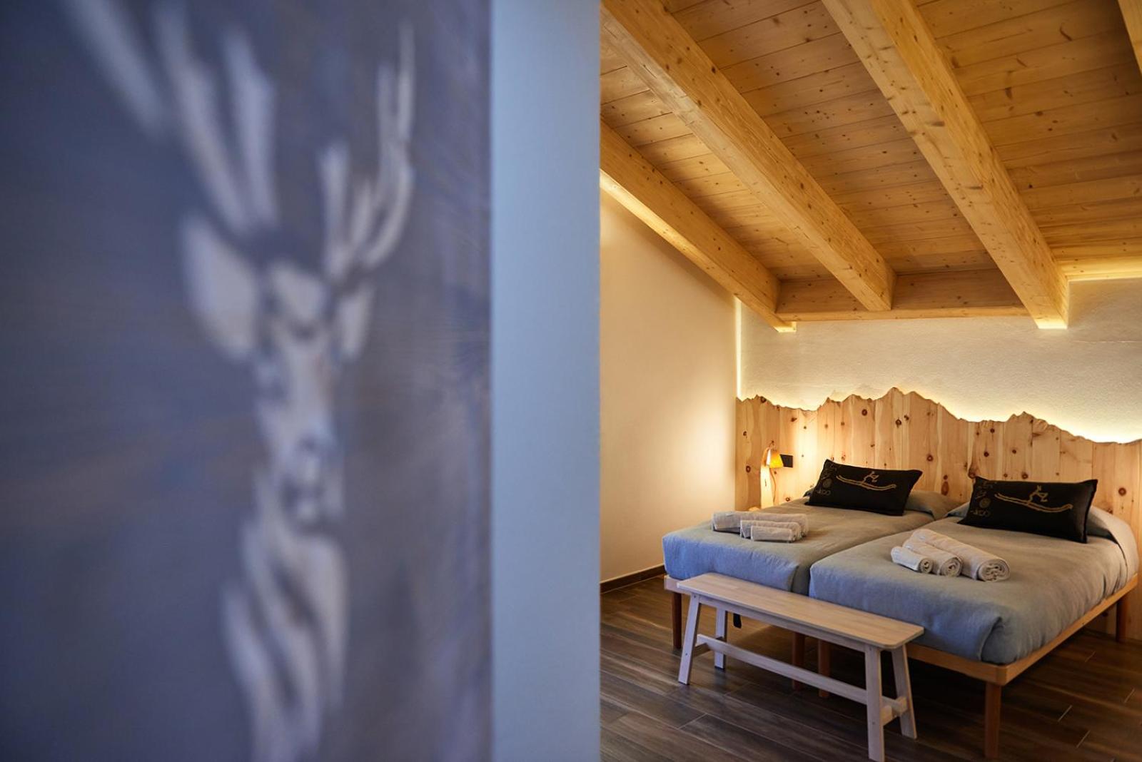 Deluxe Double or Twin Room photo 1