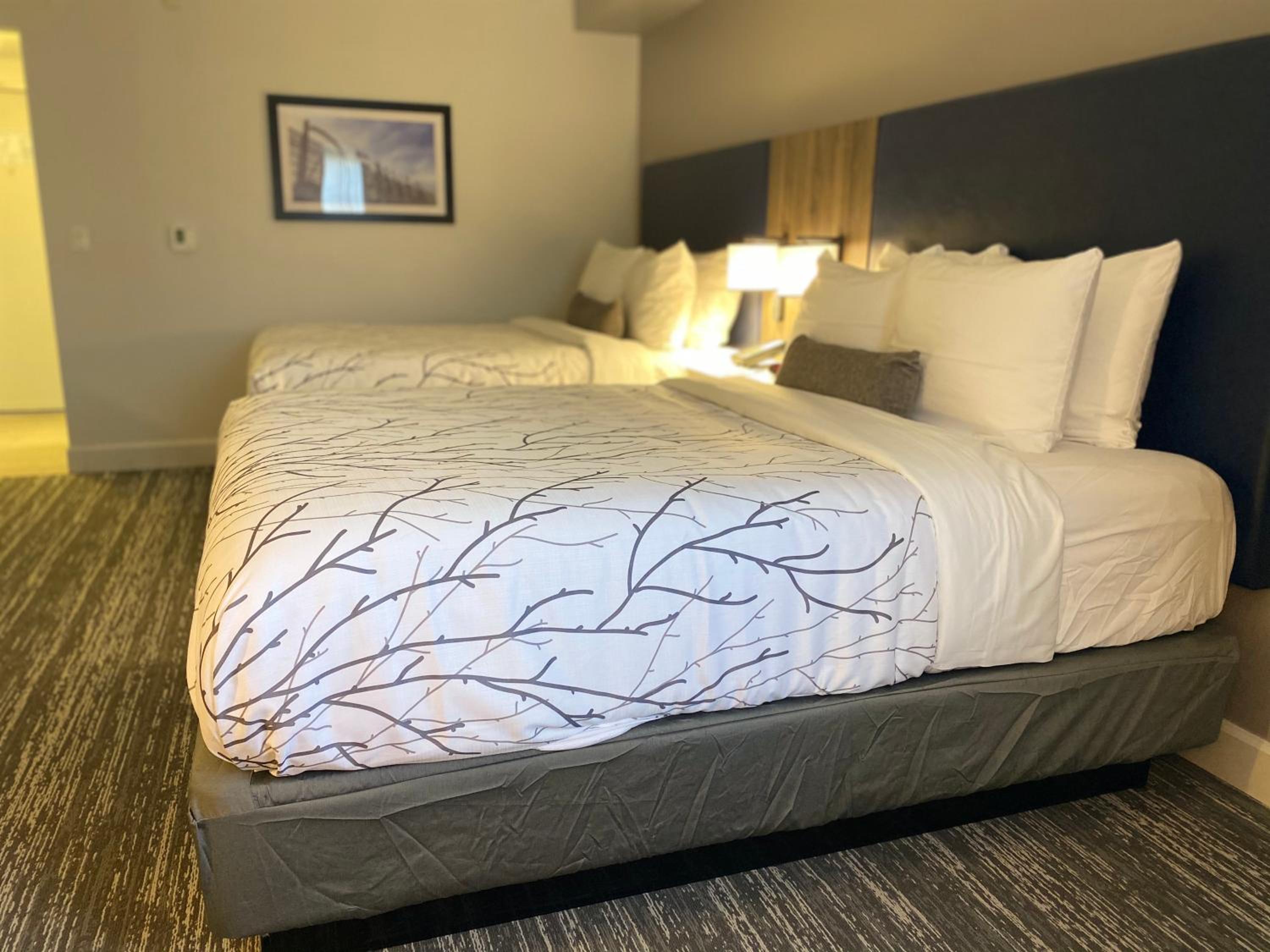 Queen Room with Two Queen Beds - Non-Smoking