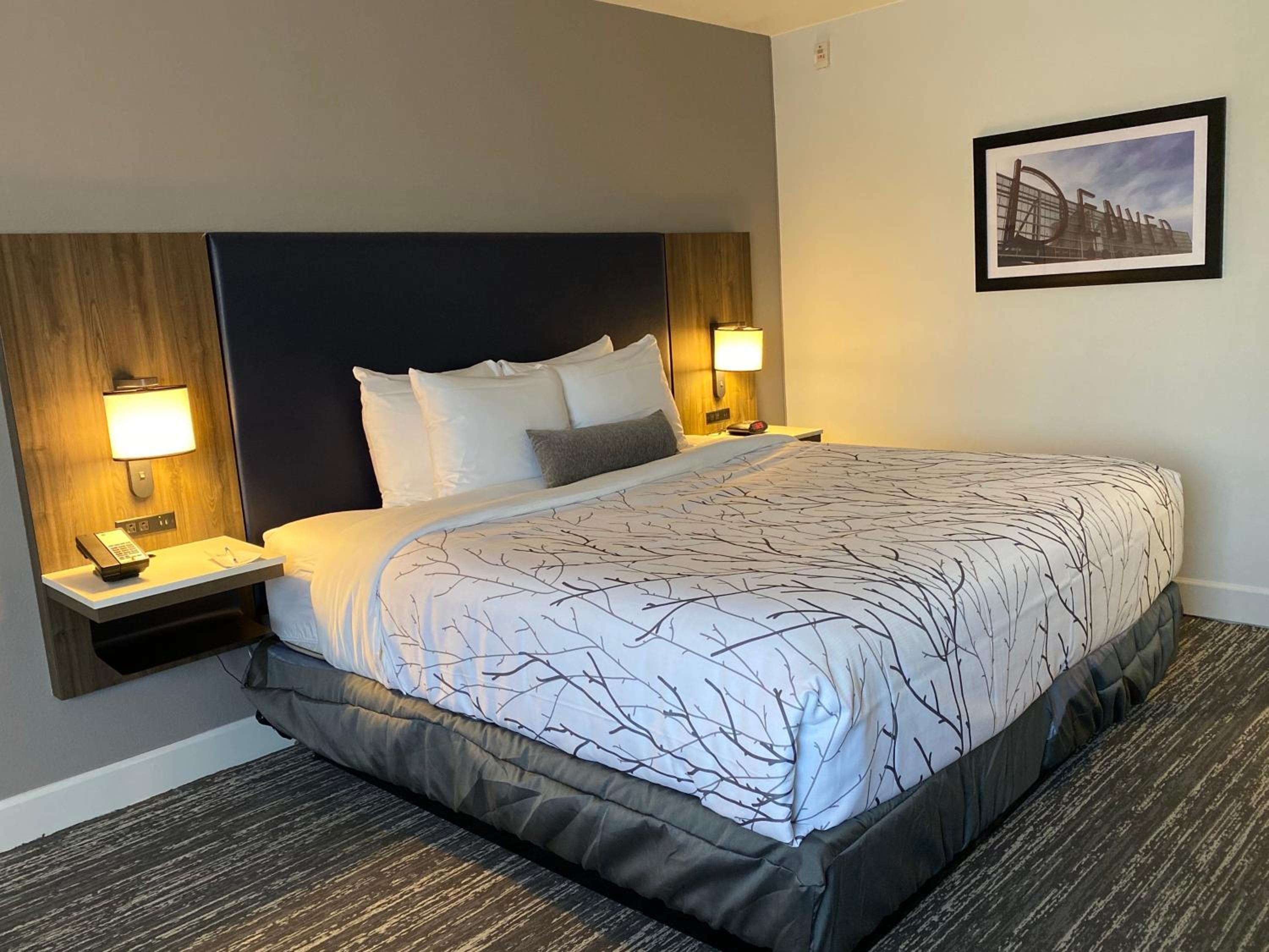 King Room with Pool View thumbnail 6