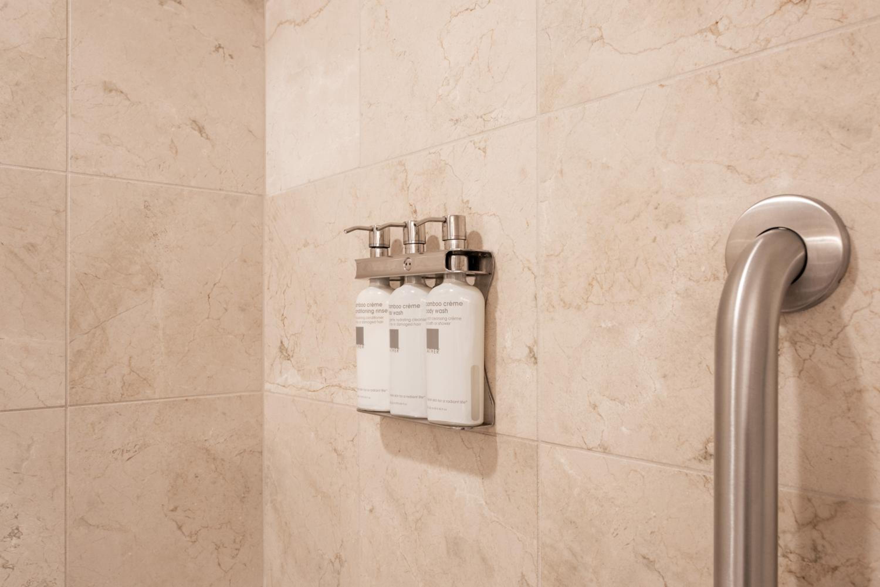 Accessible Queen Room with Roll In Shower