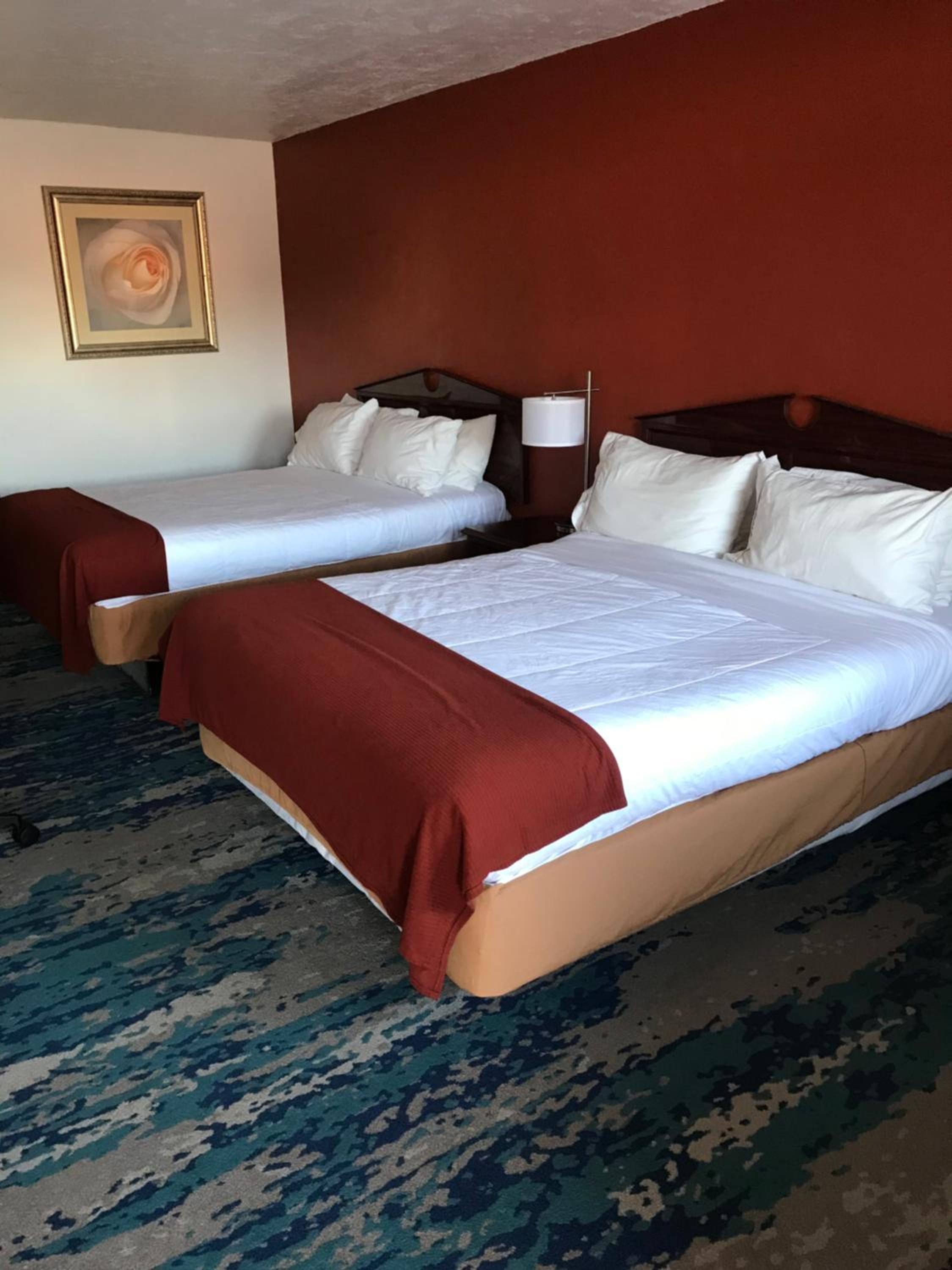 Standard Double Room - Photo 2