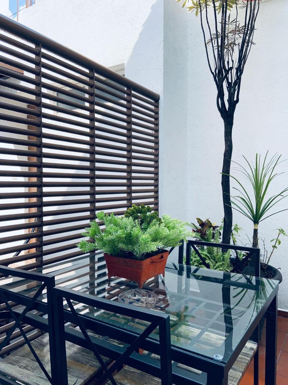 Triple Room with Terrace - Photo 7