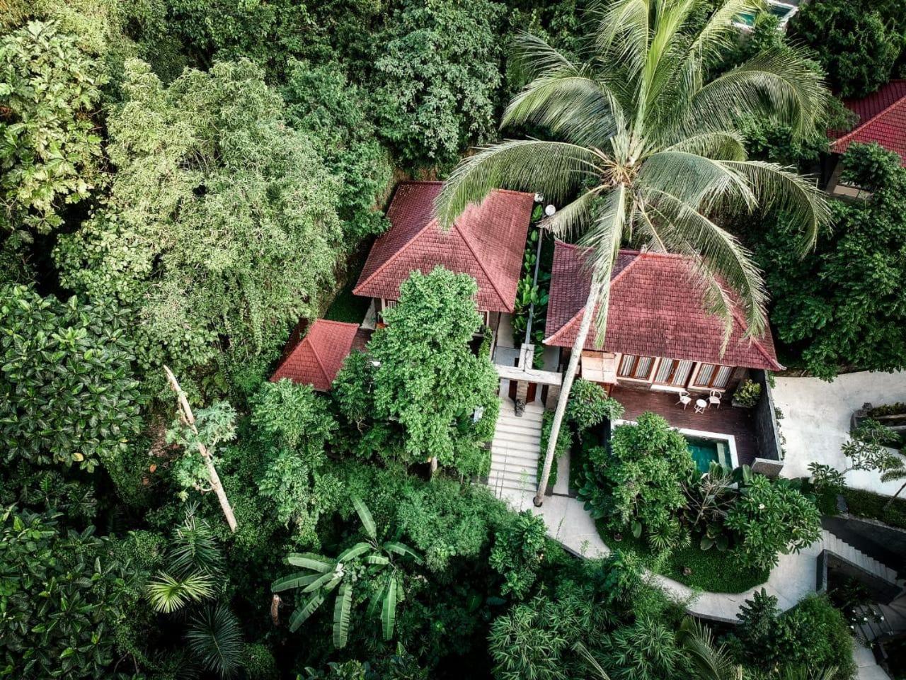 One Bedroom Villa with Private Pool - Photo 21