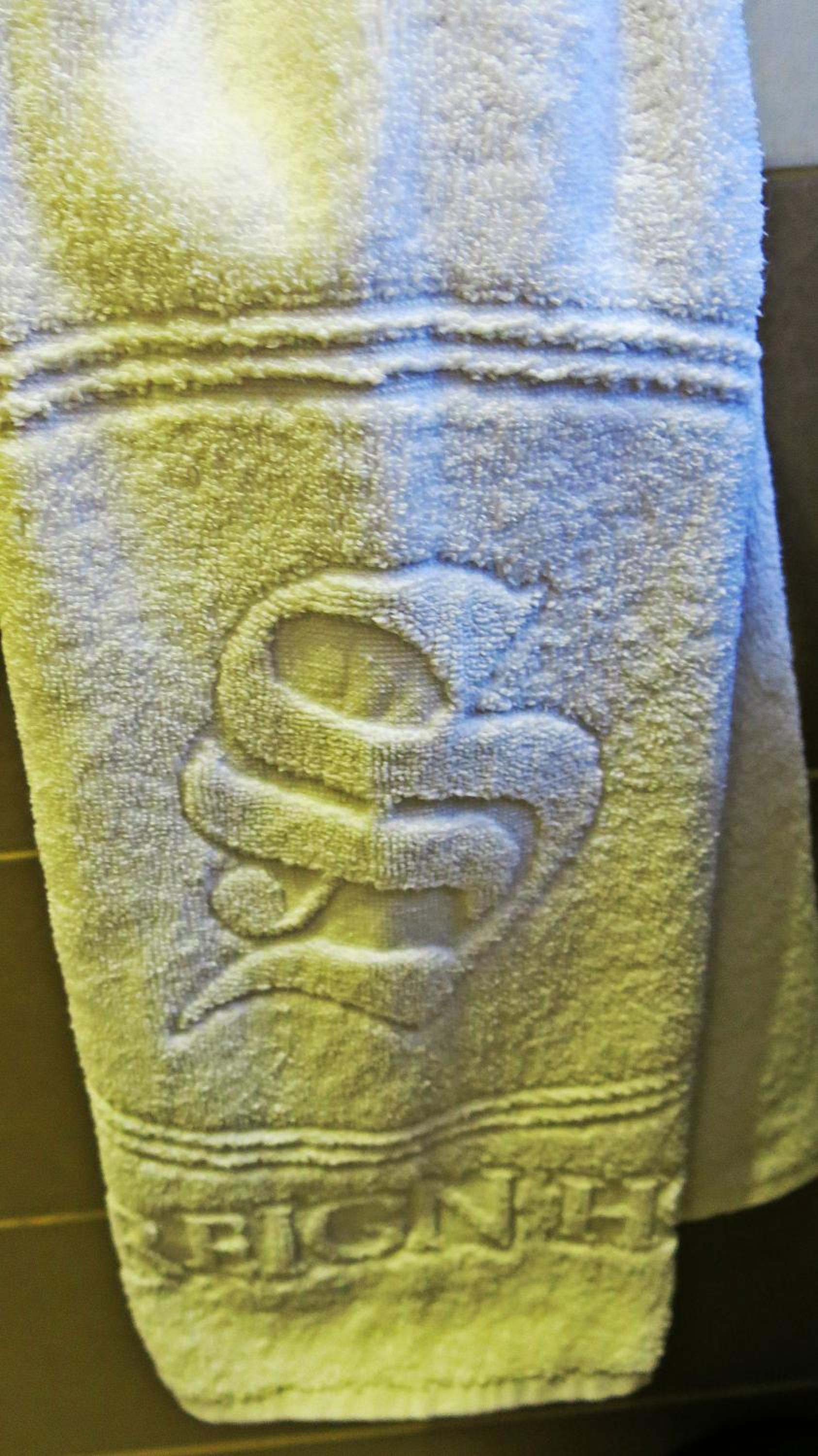 Deluxe Suite photo 3