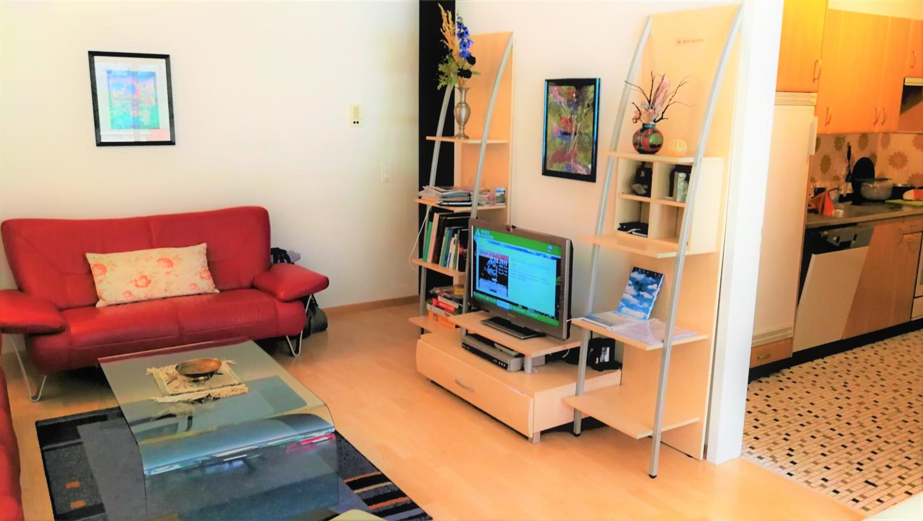 Apartment with Mountain View photo 3