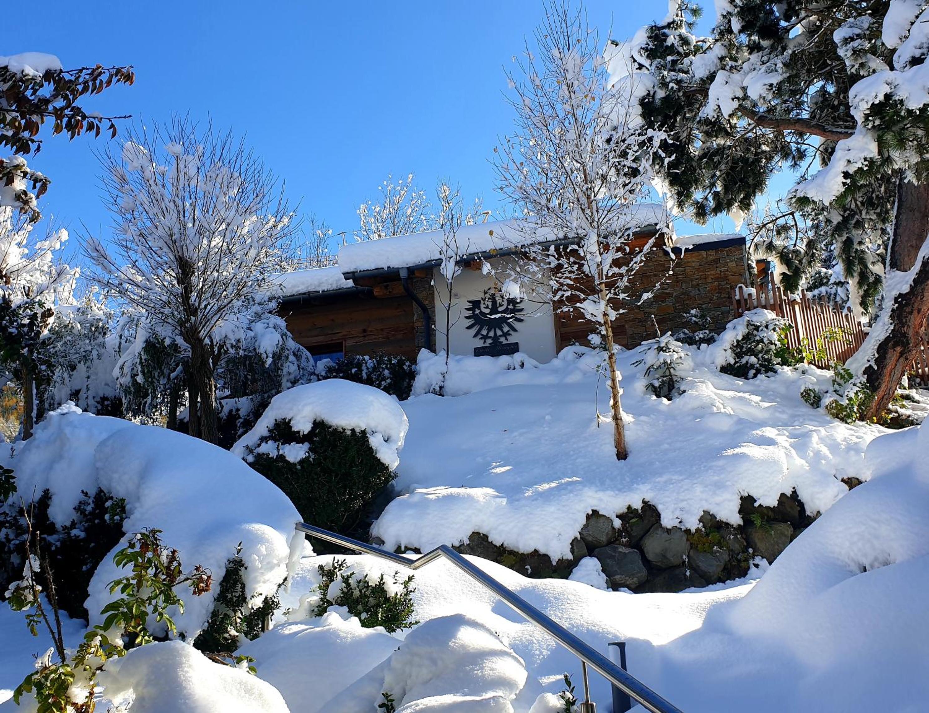 Three-Bedroom Chalet photo 2