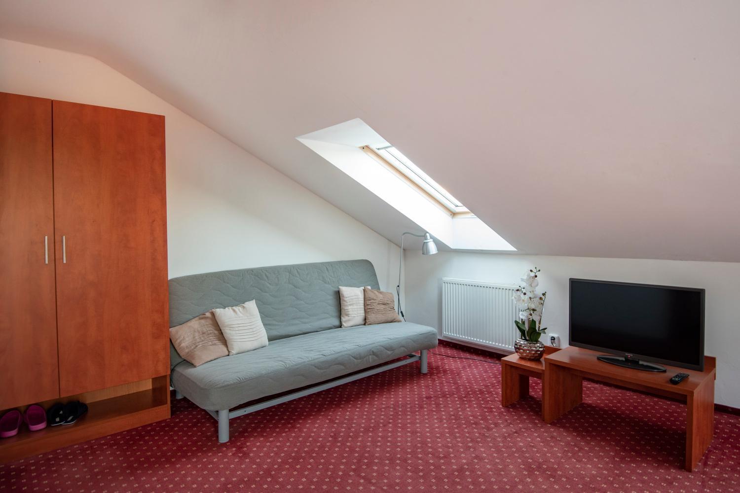 Deluxe Double Room with Extra Bed - Photo 11