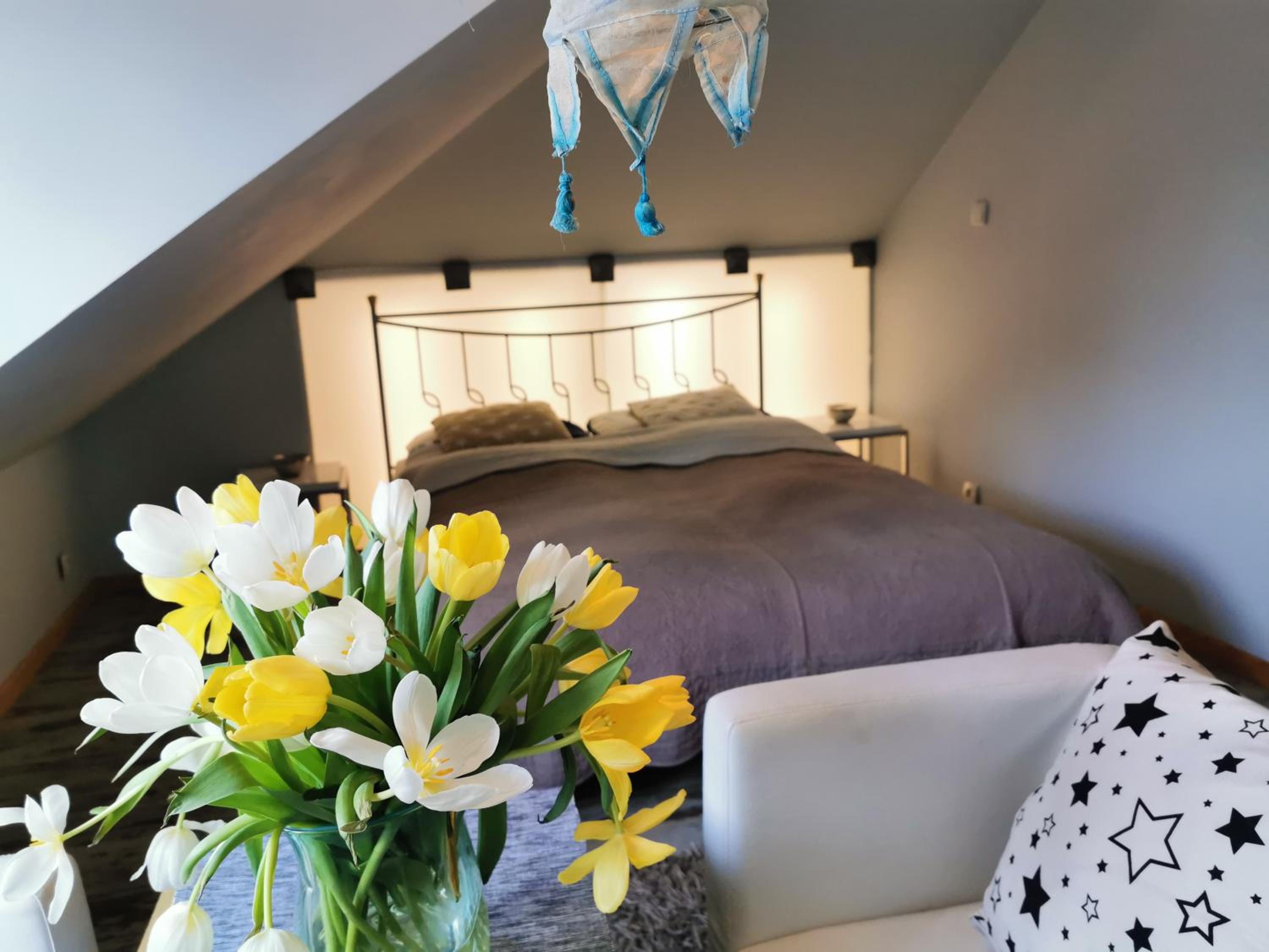 Double Room photo 1