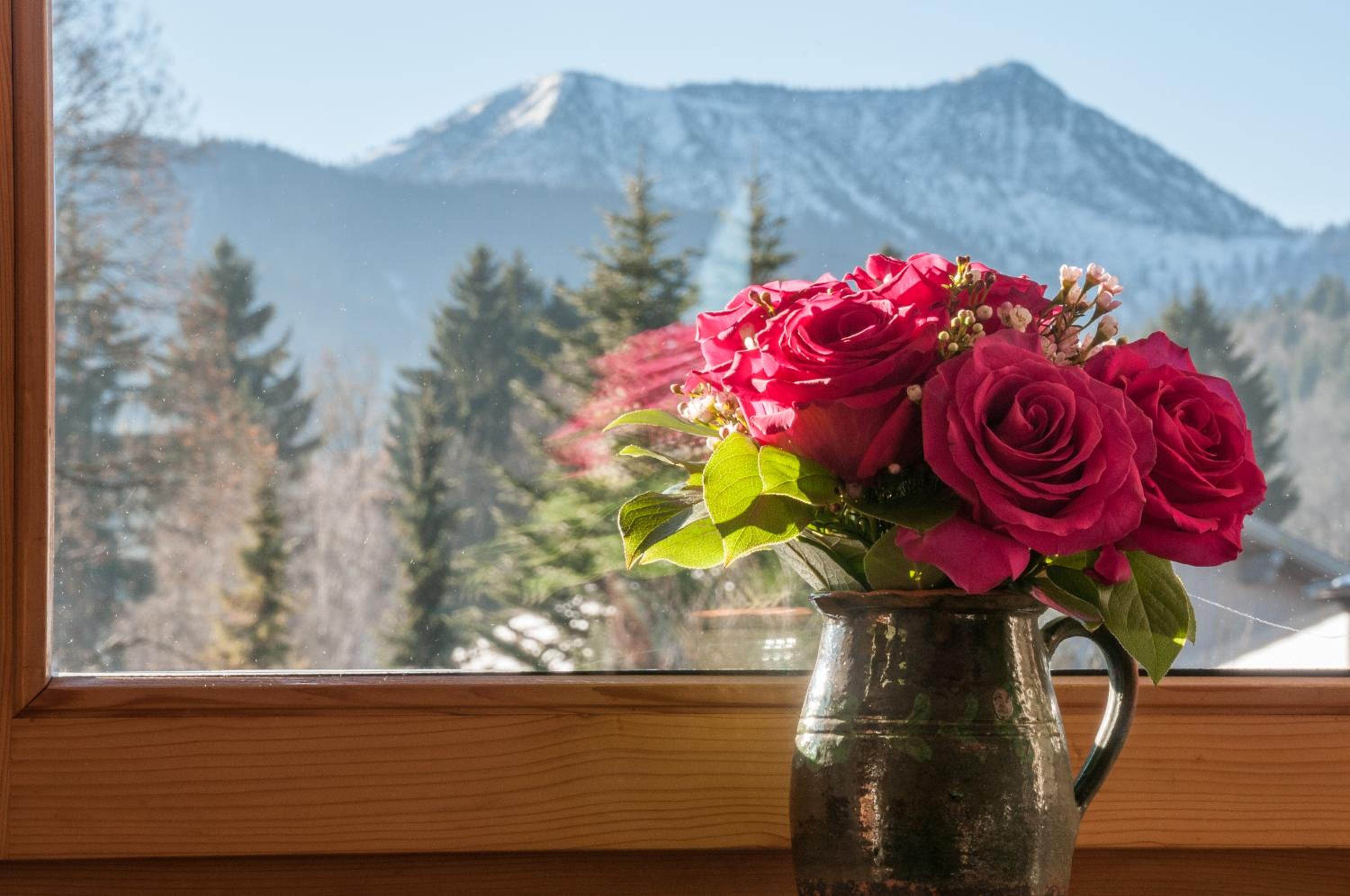 One-Bedroom Apartment with Balcony and Mountain View photo 3